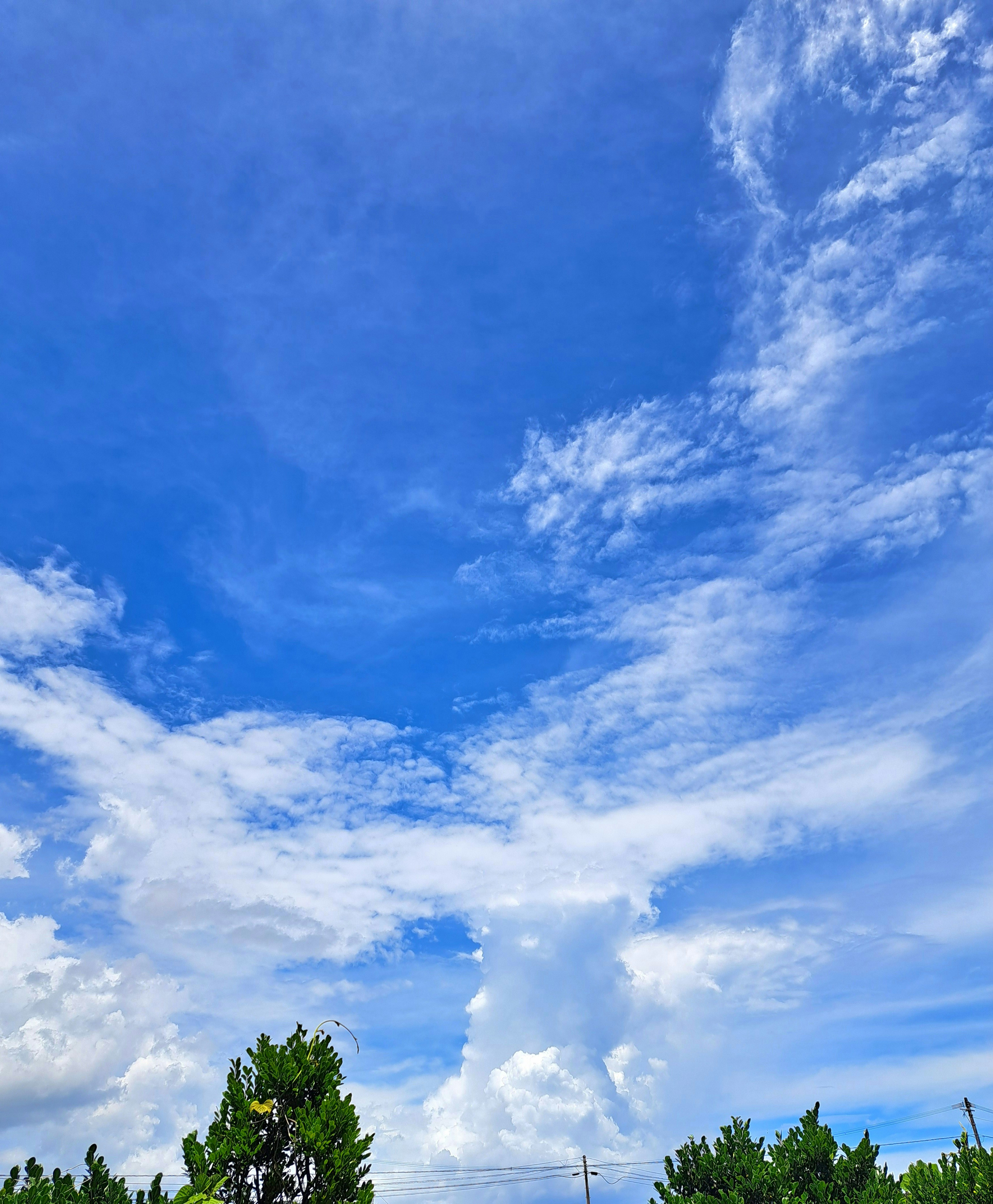 青空に広がるダイナミックな雲の空