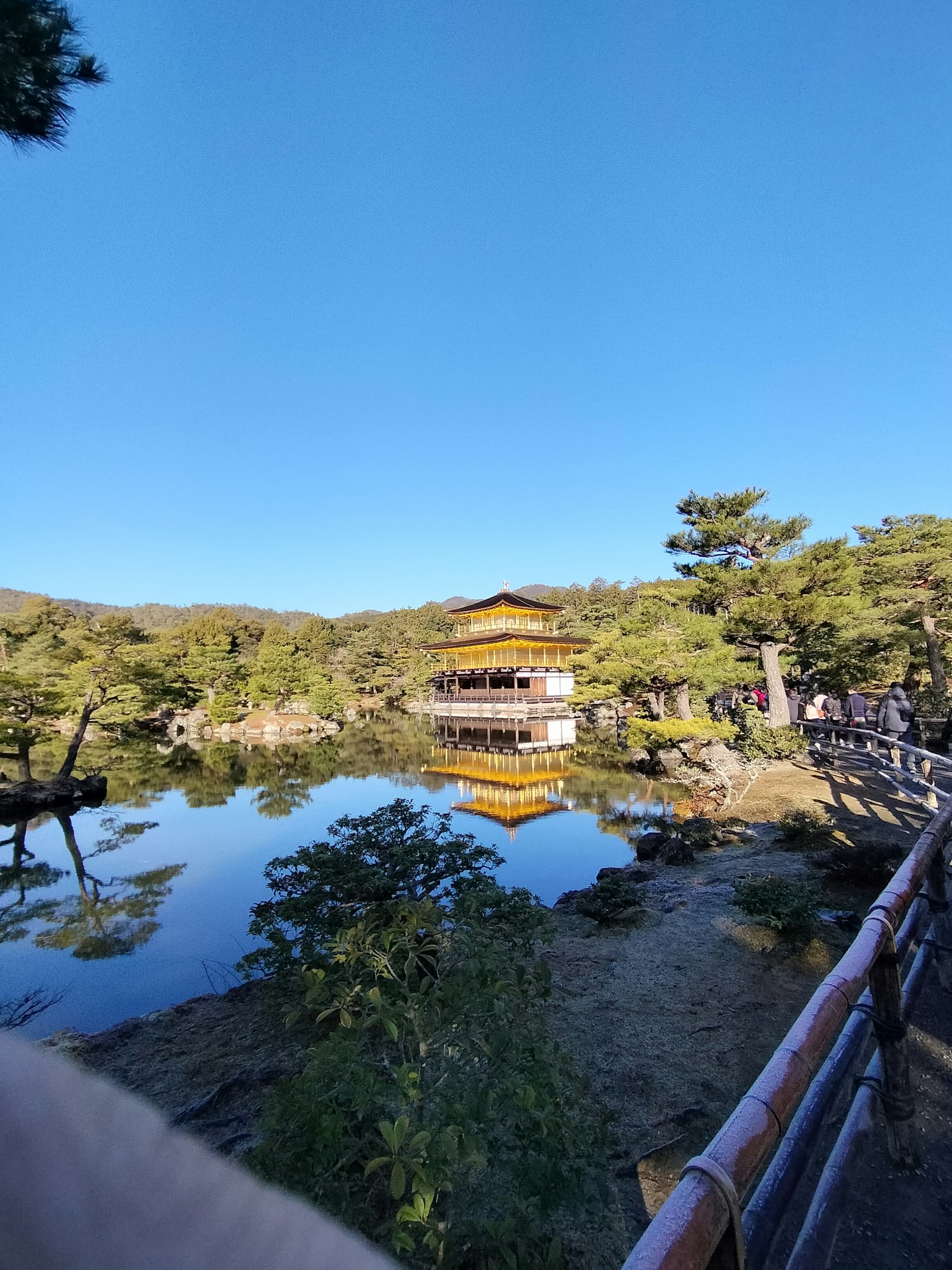Vista panoramica del Kinkaku-ji con riflessi sereni nello stagno