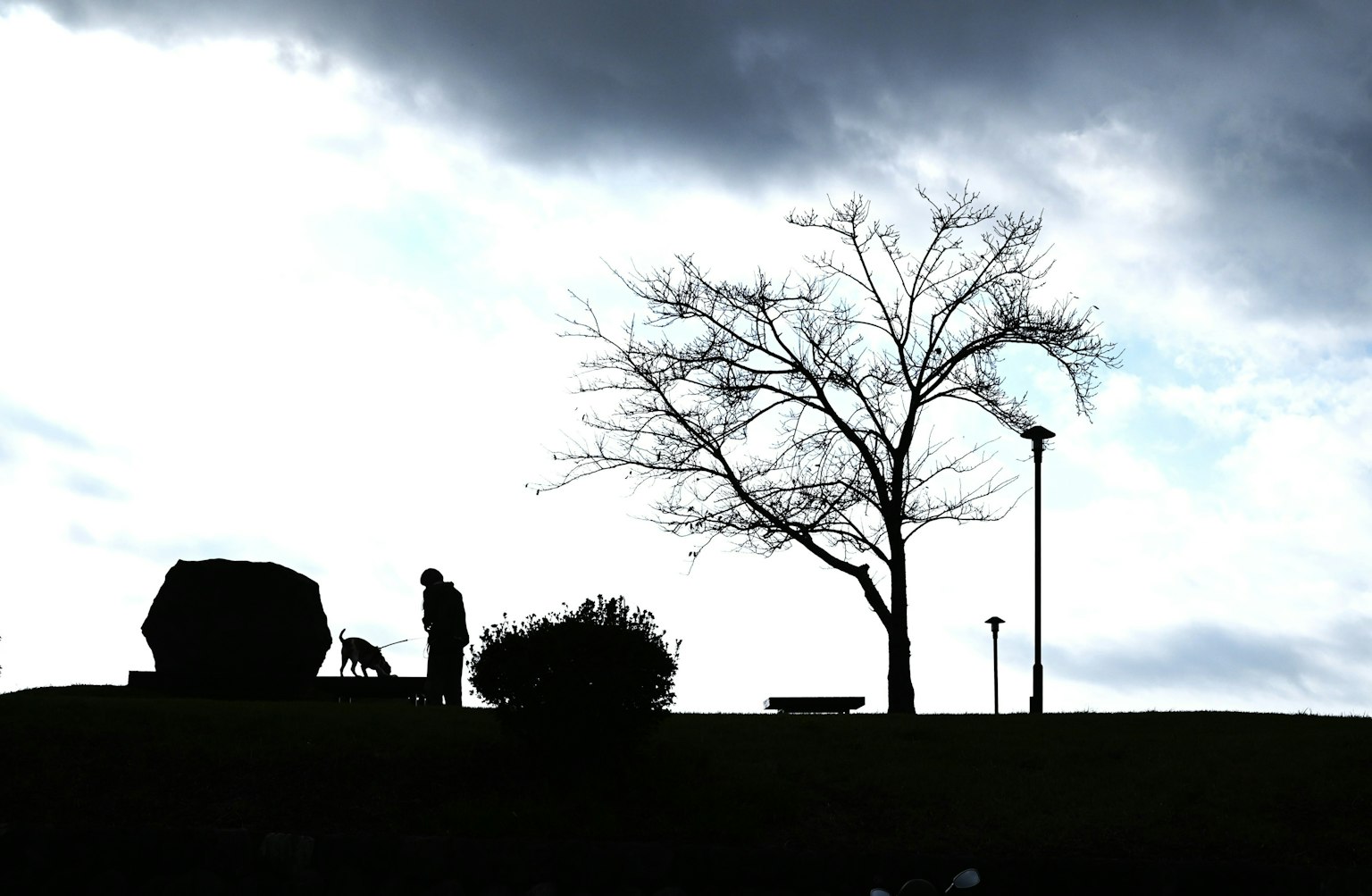 Silhouette einer Person, die einen Hund unter dunklen Wolken mit einem Baum ausführt