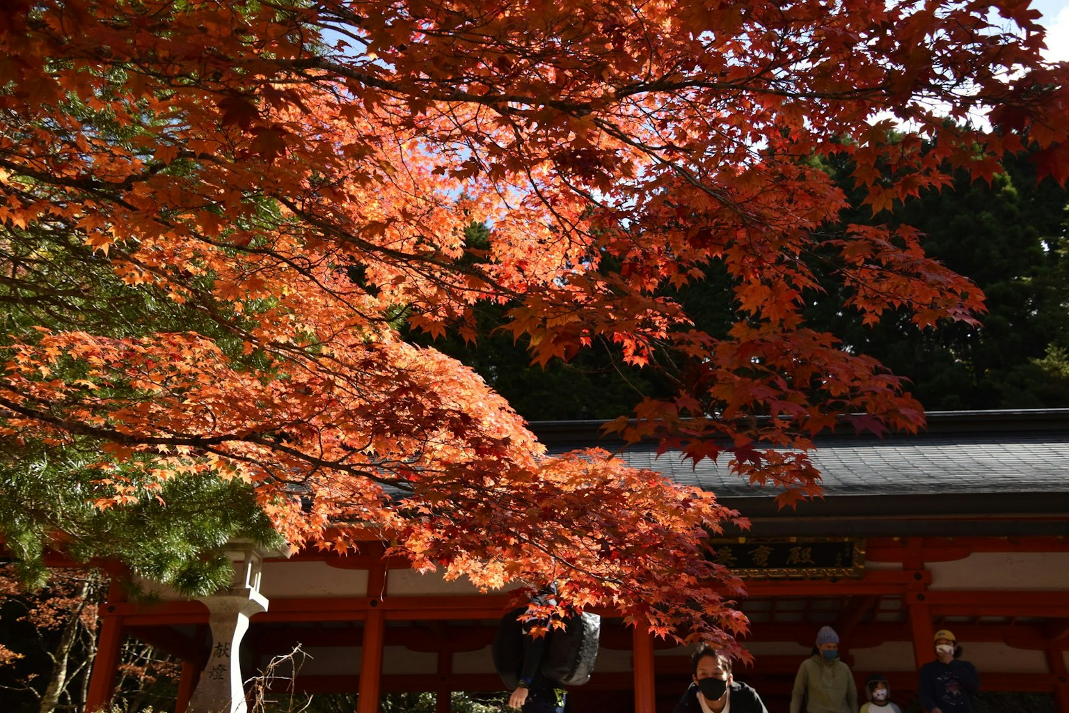 Vue pittoresque d'un sanctuaire entouré de feuillage d'automne