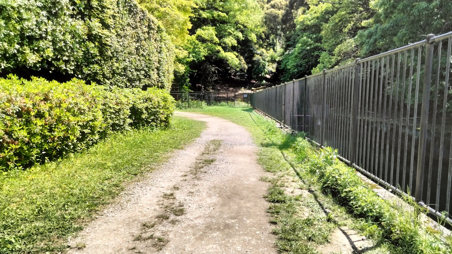 Un chemin sinueux bordé de verdure luxuriante et d'une clôture
