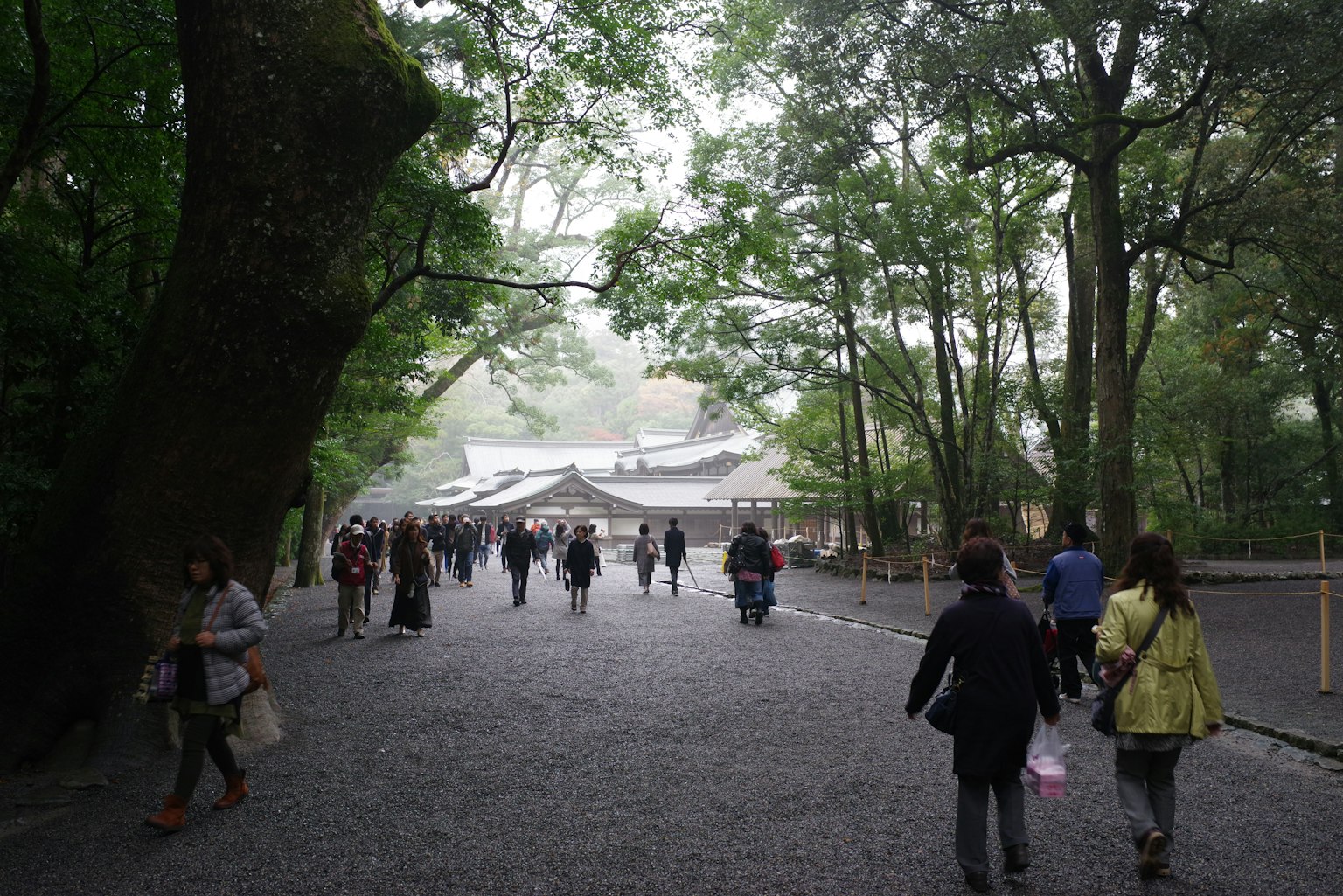 People walking on a gravel path surrounded by lush greenery and a misty shrine