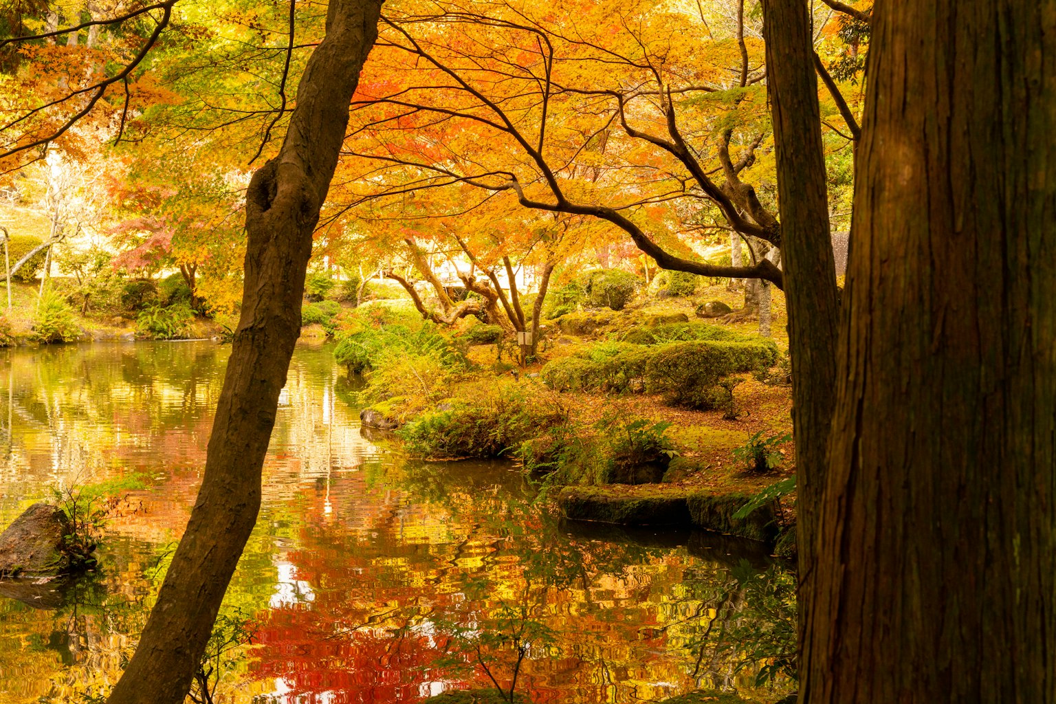 Herbstlandschaft mit Blättern, die in einem ruhigen Teich reflektiert werden