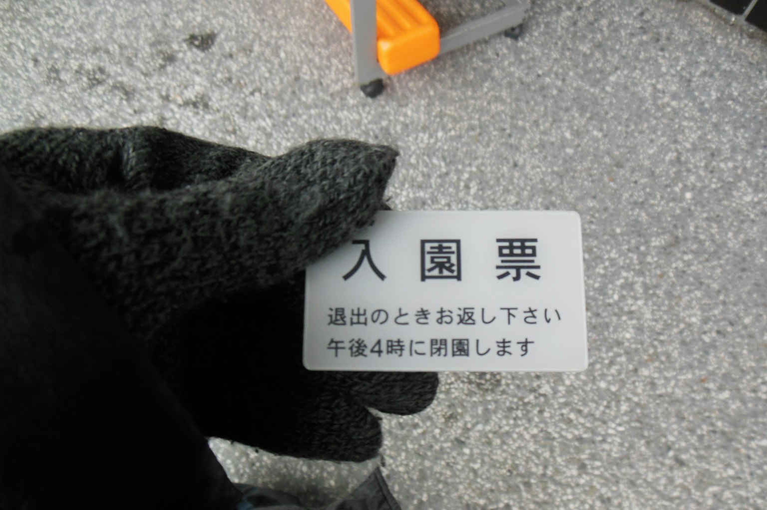 一只戴着黑手套的手握着入园券