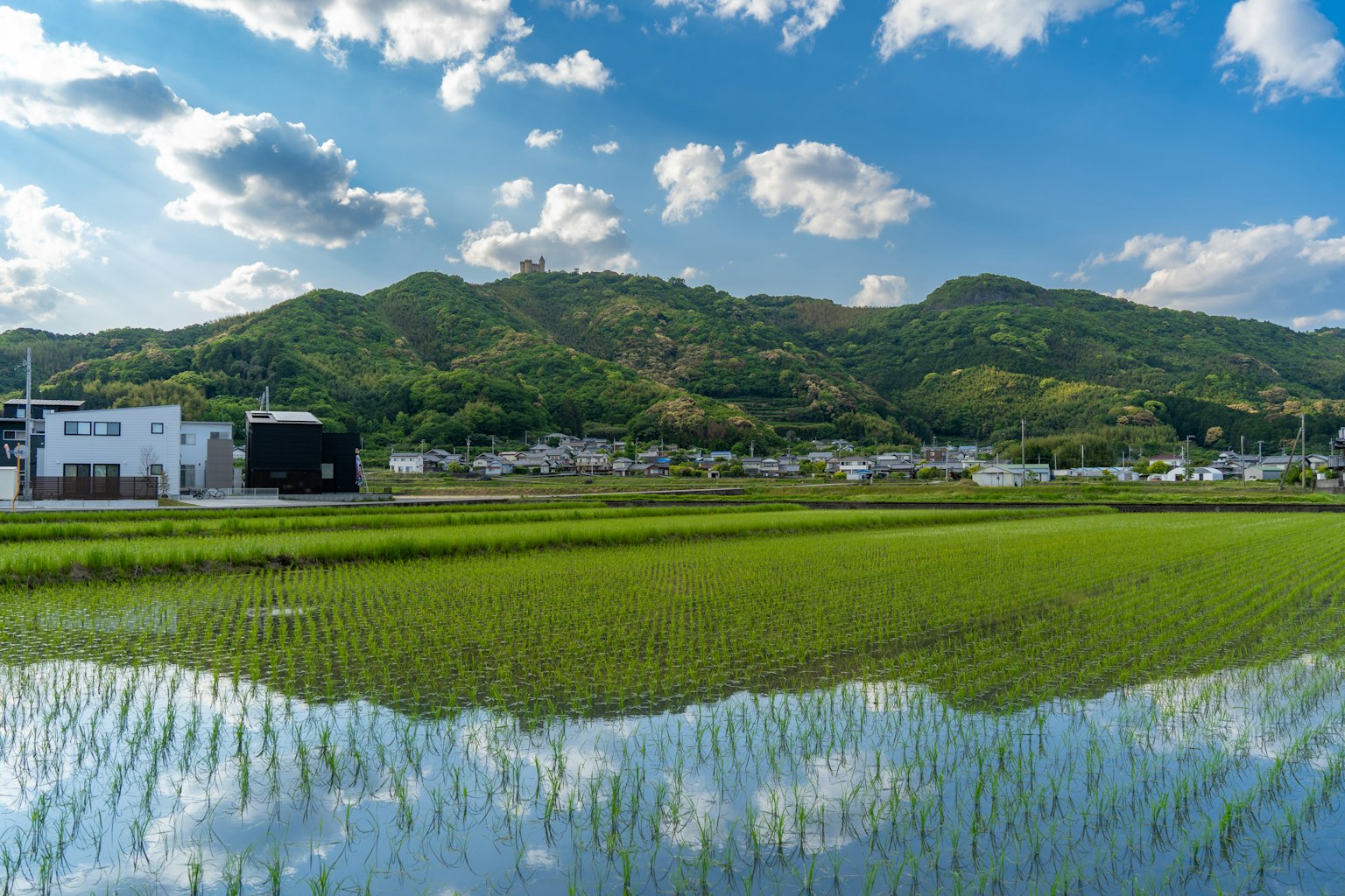 Lush rice fields under a blue sky with mountains in the background reflecting clouds in the water