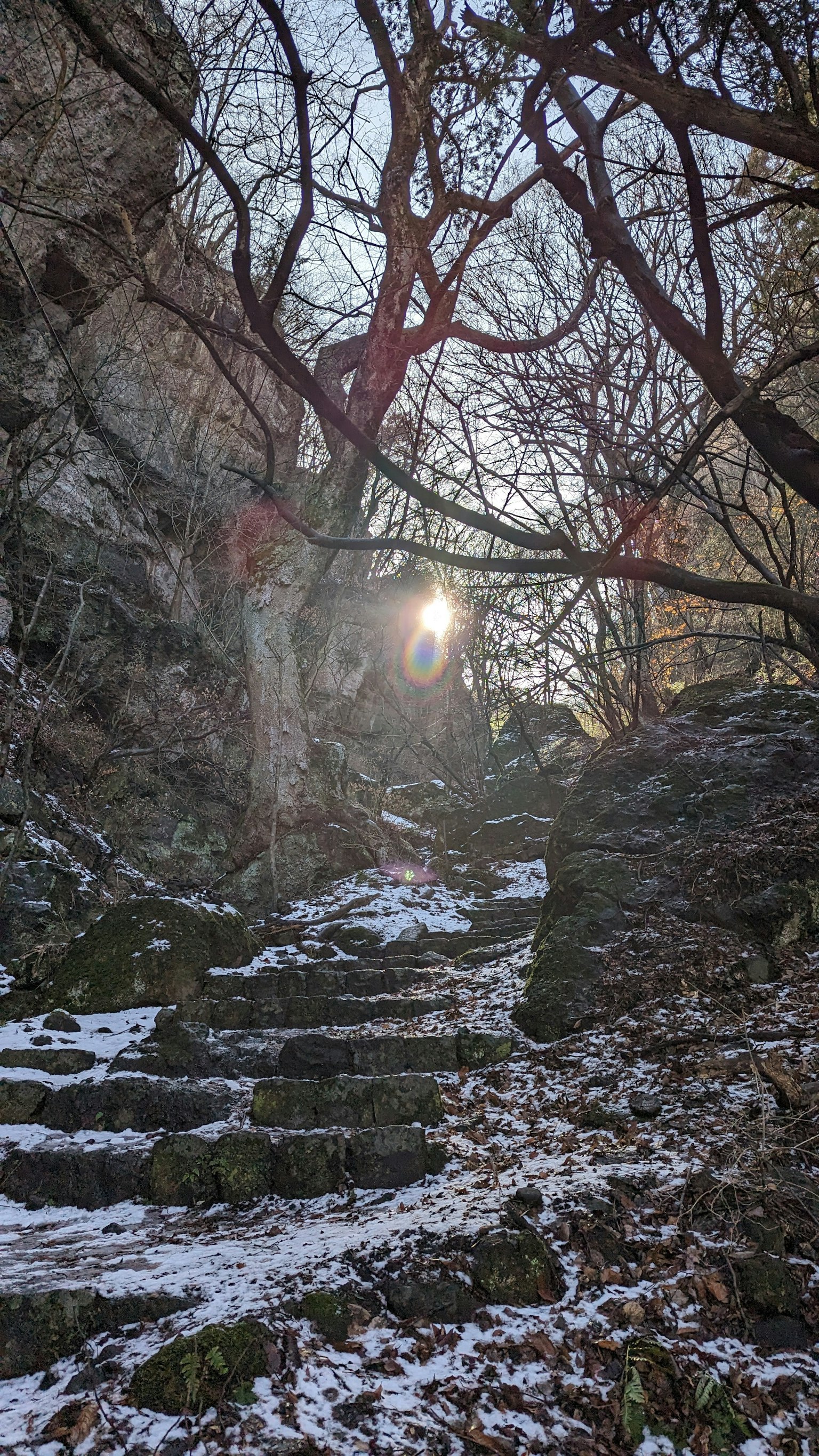 被雪覆蓋的石階和周圍樹木的自然風景