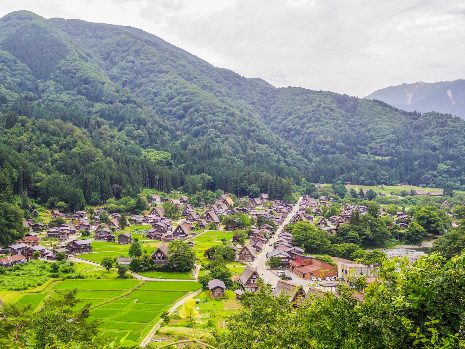 Vue pittoresque d'un village traditionnel gassho-zukuri entouré de montagnes et de rizières
