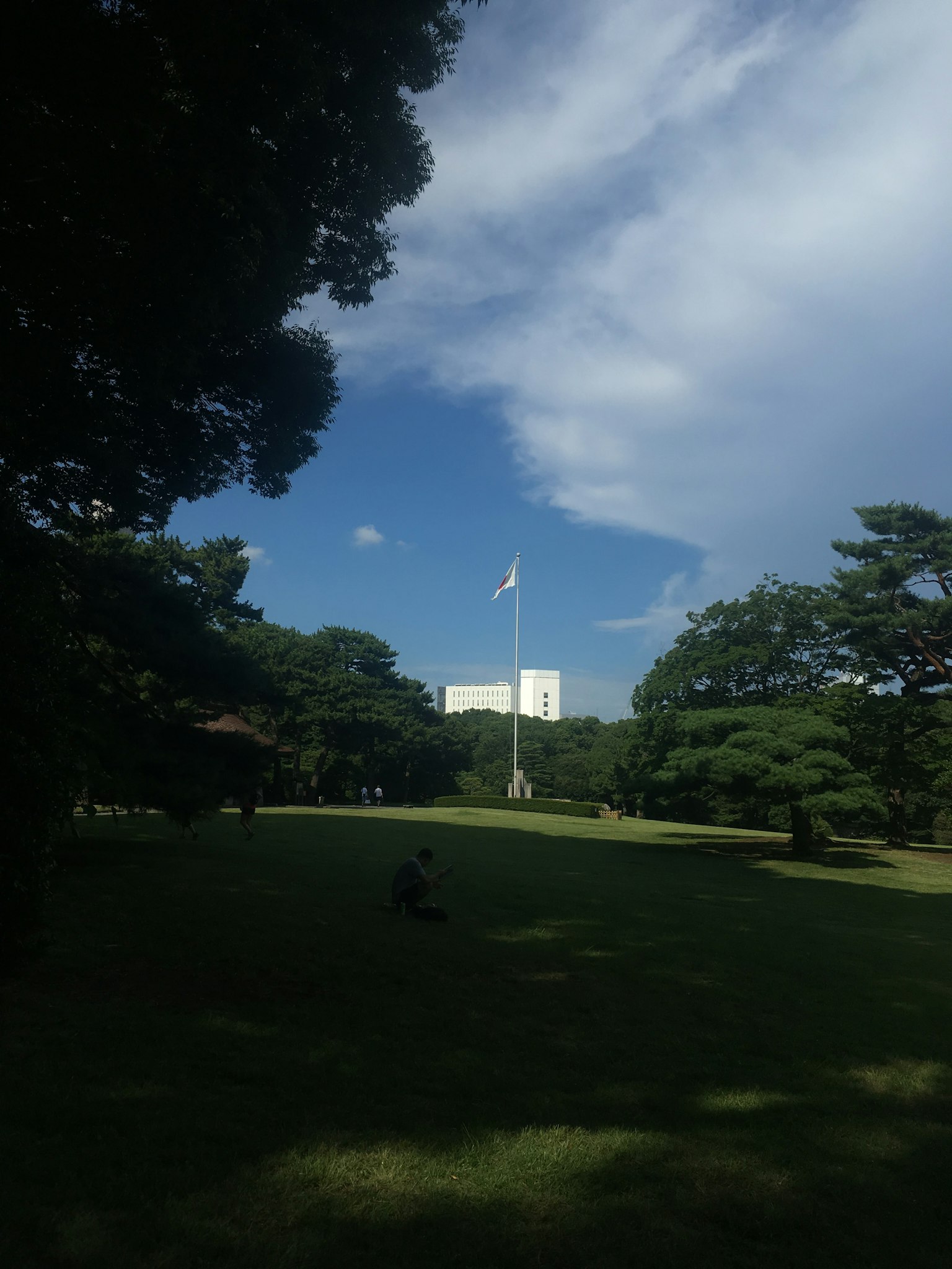 宽阔的公园场景，蓝天和白云中有一个旗杆