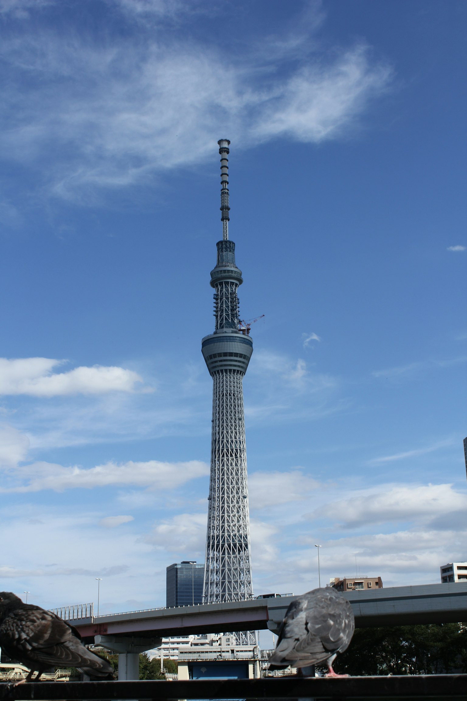 Tokyo Skytree che si erge contro un cielo blu luminoso