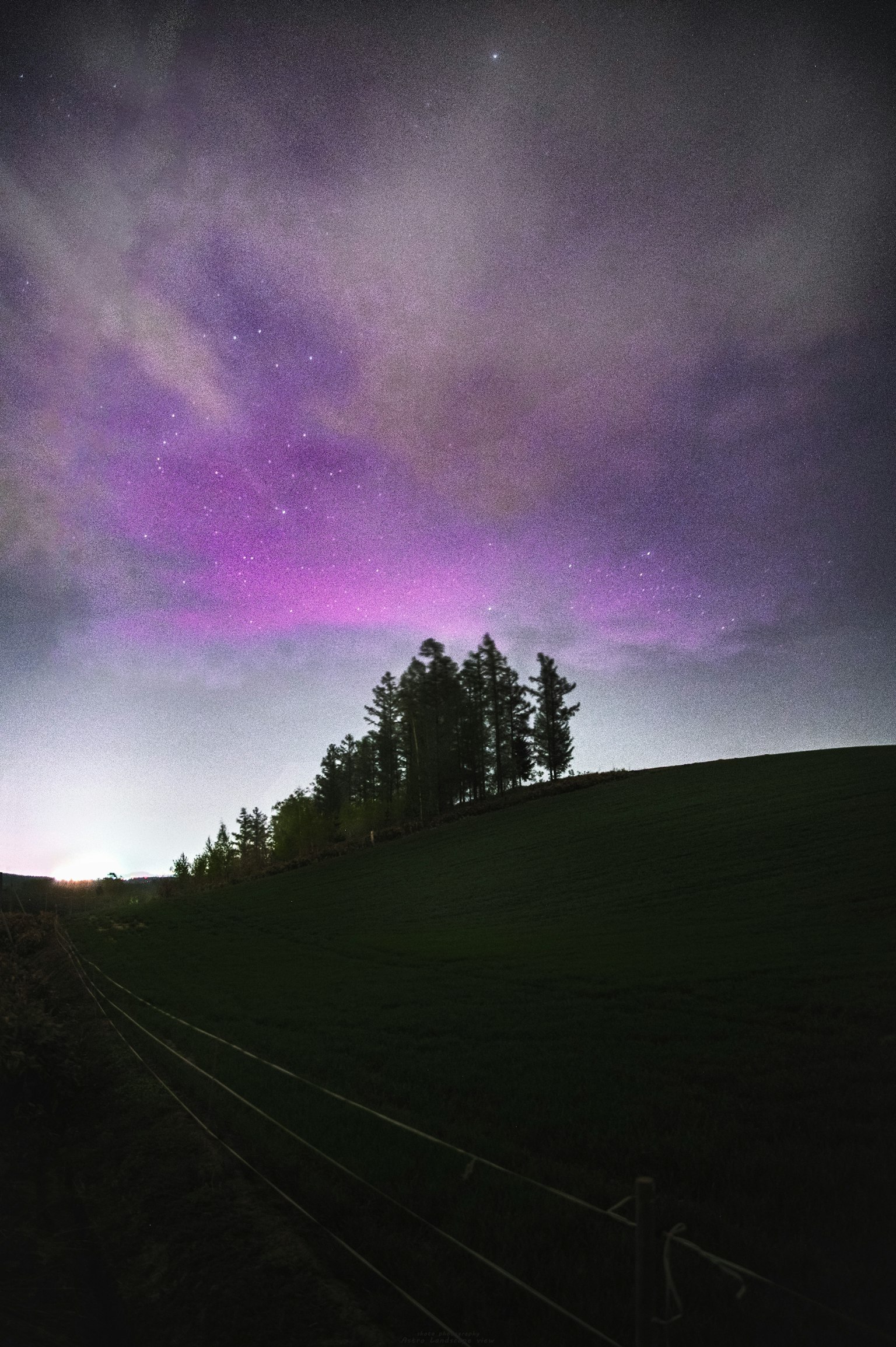 Aurora ungu yang indah menerangi langit malam dengan pohon-pohon bersiluet