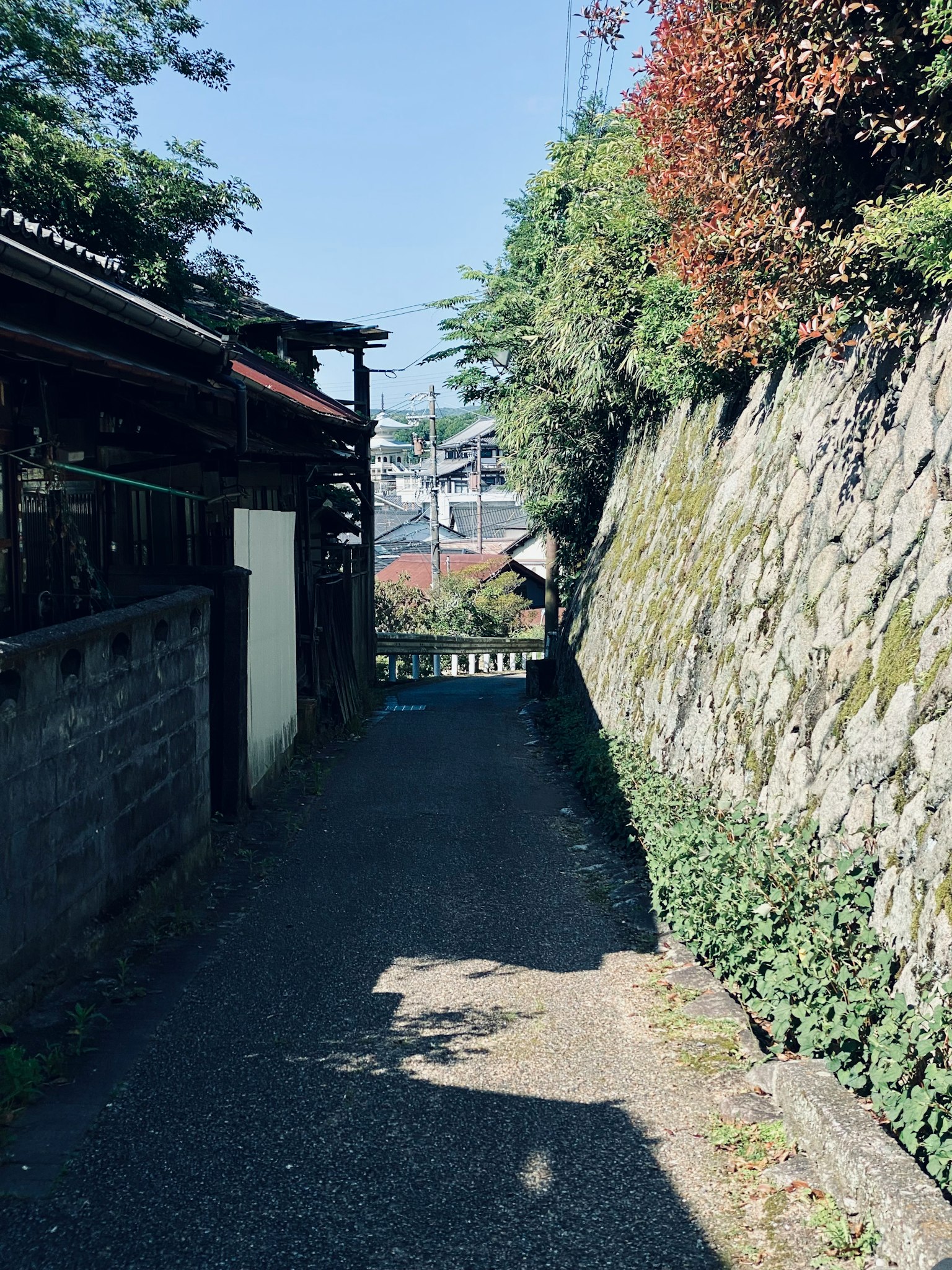 Narrow pathway with a stone wall and greenery