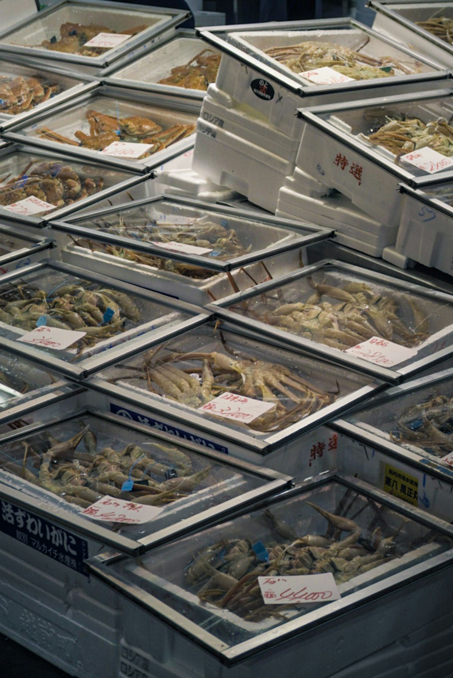 photo-jZm0NX4RdylpHqTpuoEe-image