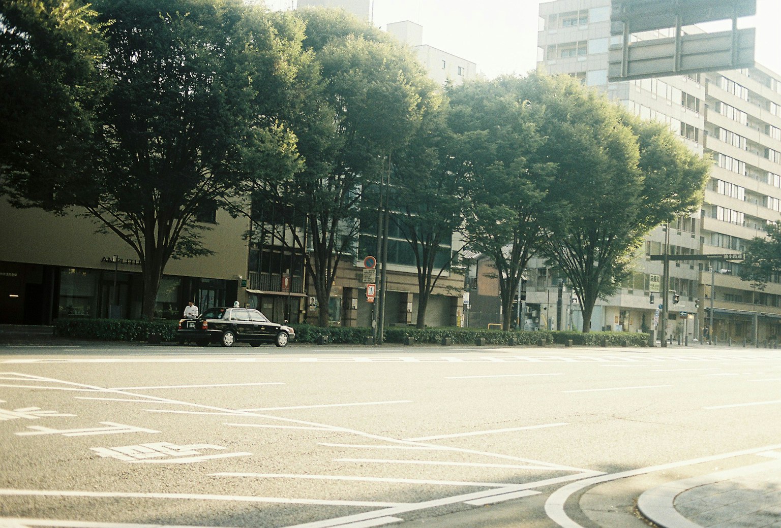 Quiet street scene with lined trees and buildings