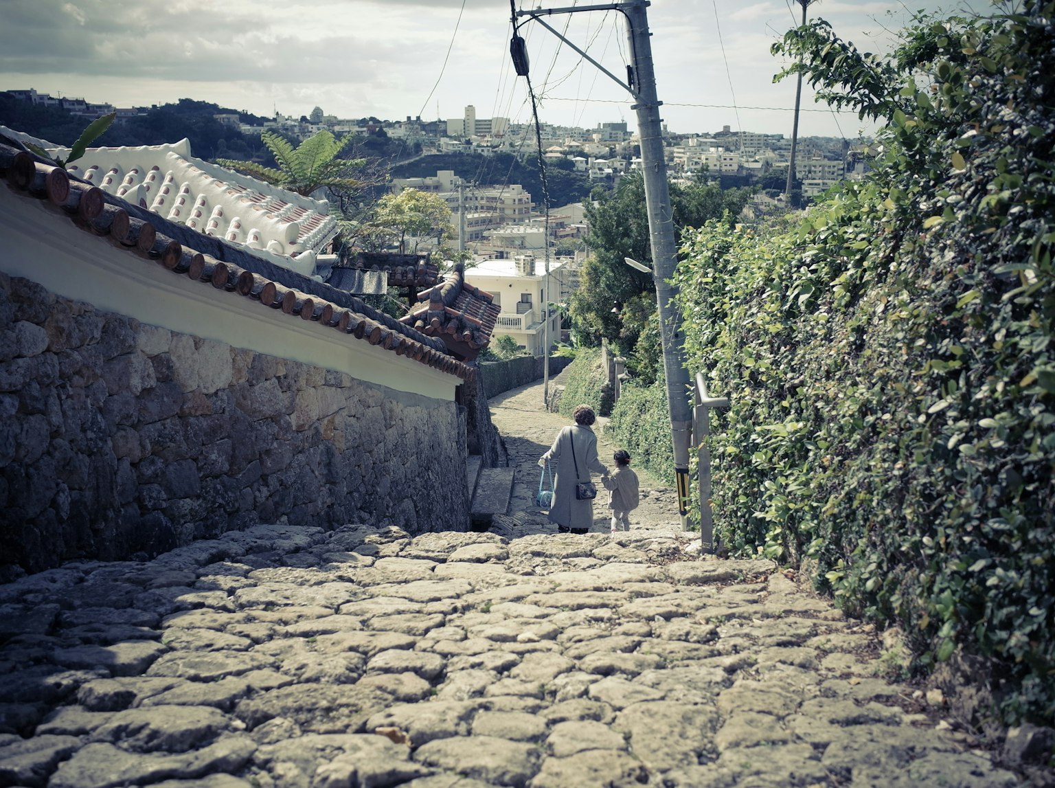 一位父母和孩子走下石板坡道，周围环绕着繁茂的绿色植物
