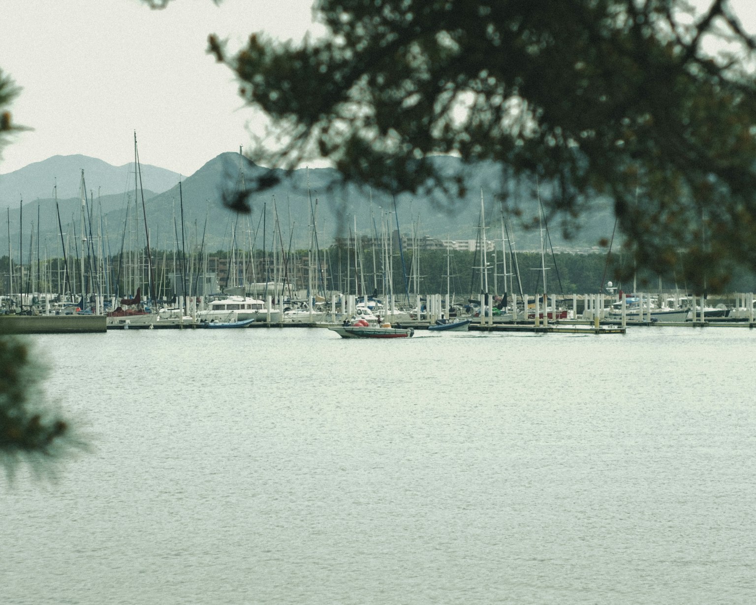 Calm harbor with moored yachts and serene water surface