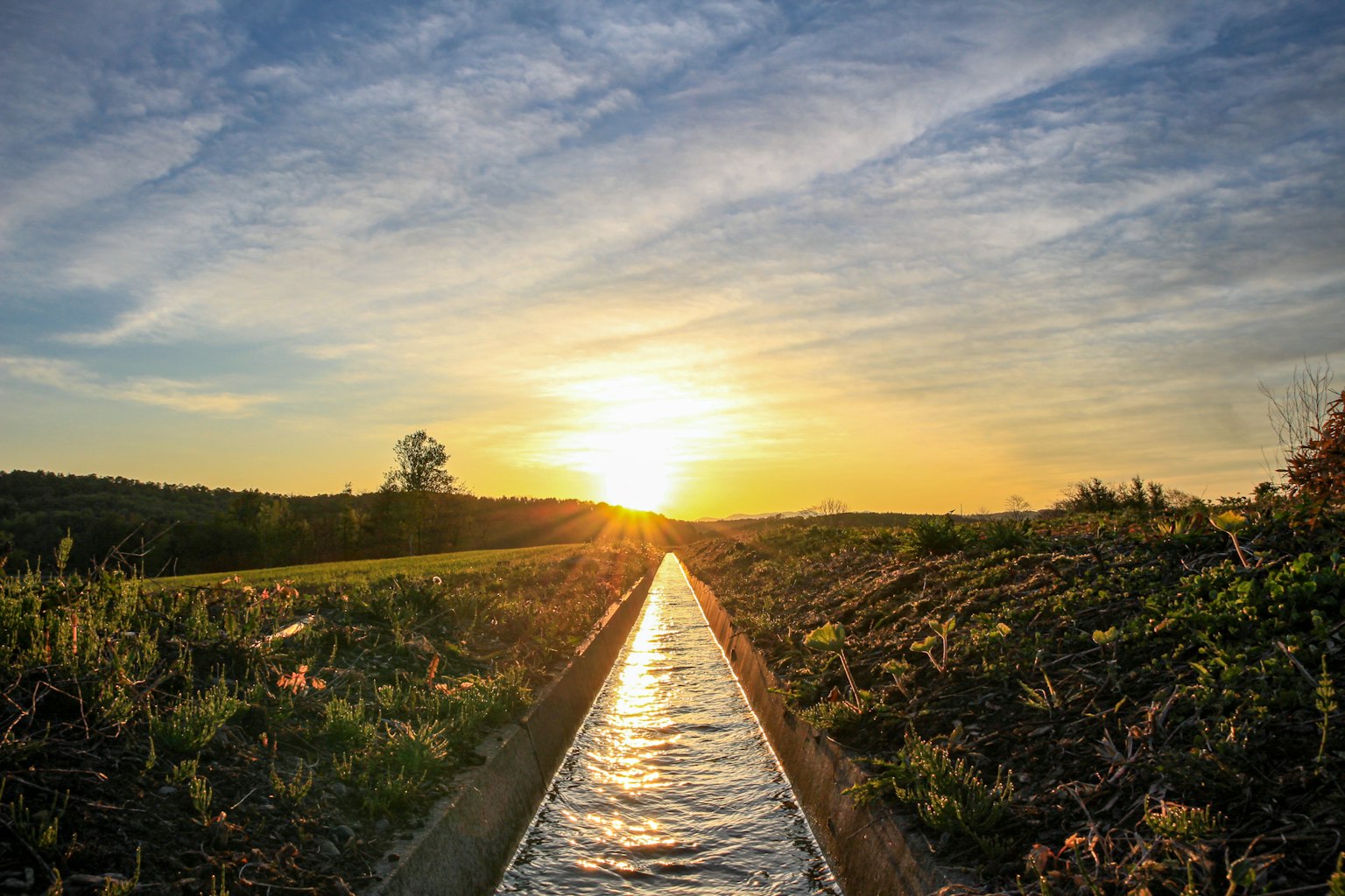 Sunrise landscape with a water channel