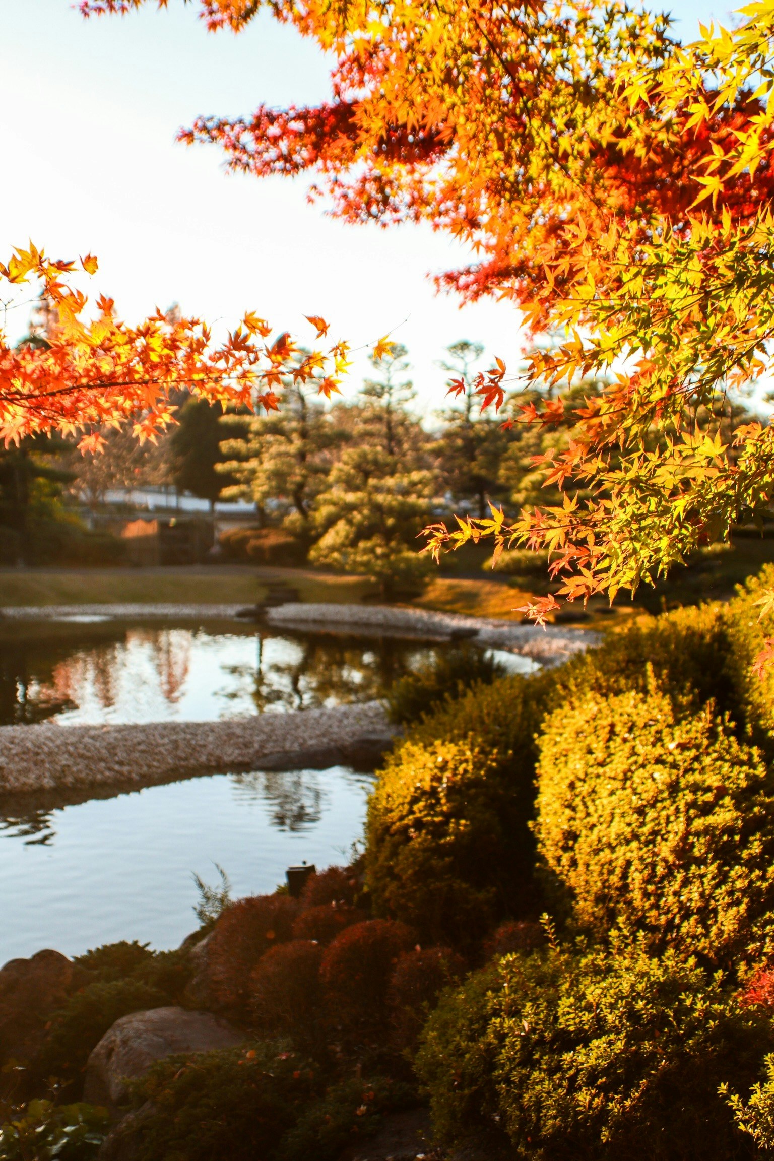 Beautiful autumn scenery with colorful trees reflecting on the pond