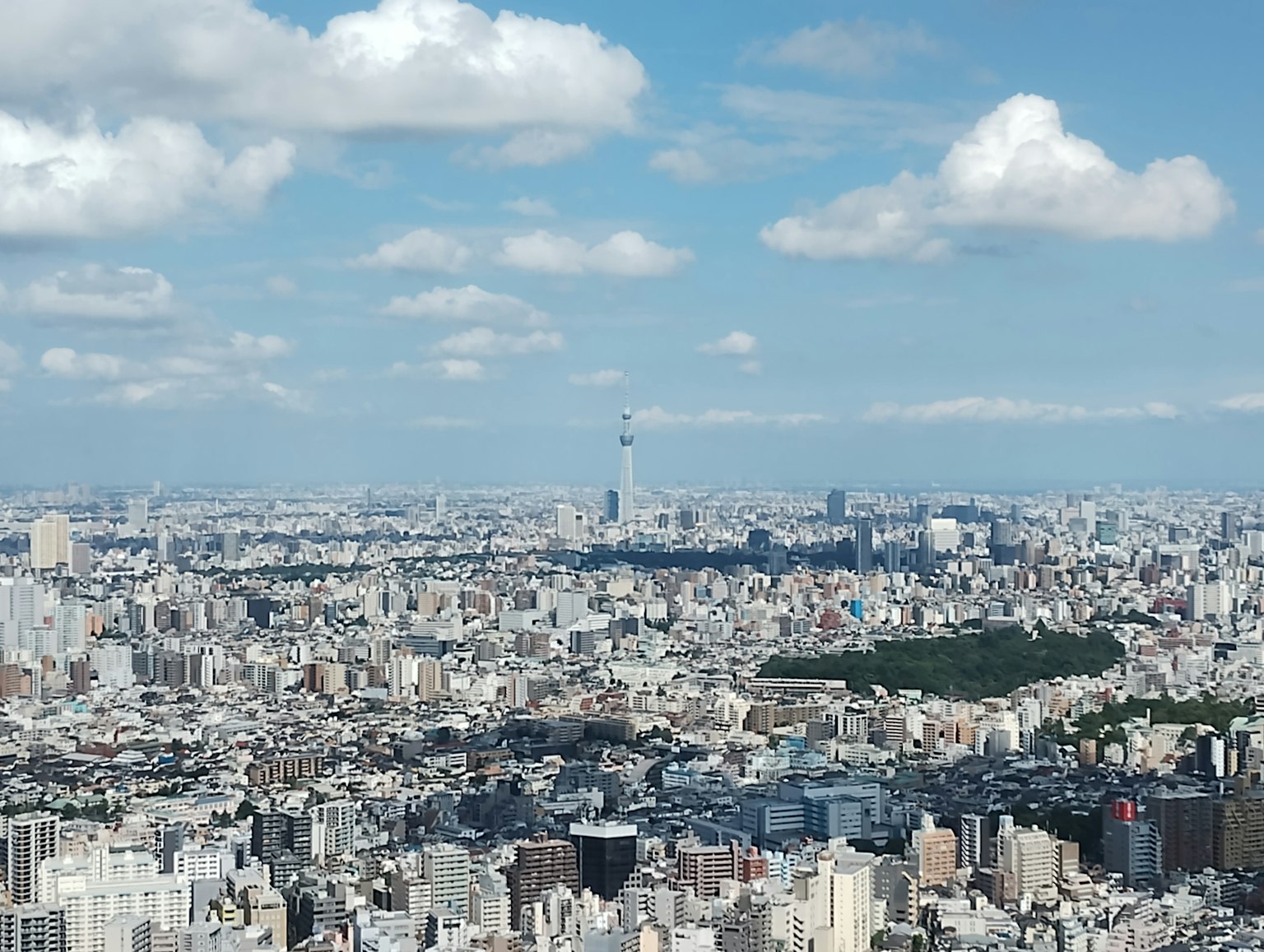 Vista panoramica di Tokyo con la Tokyo Skytree e il paesaggio urbano