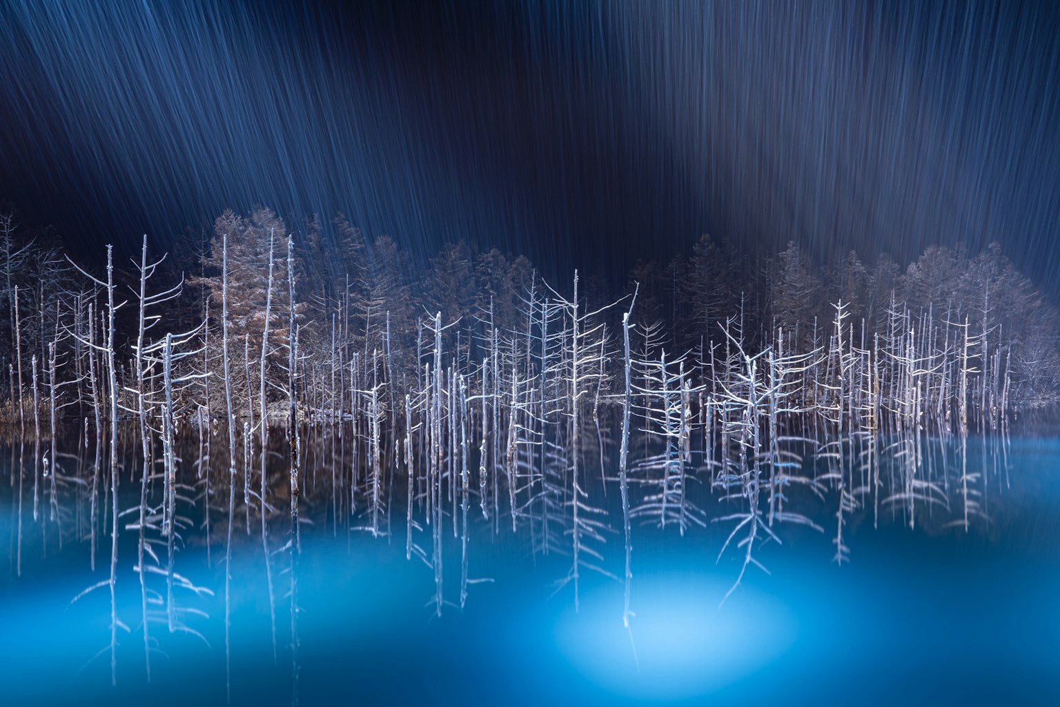 Alberi bianchi riflessi in acqua blu che creano un'atmosfera mistica