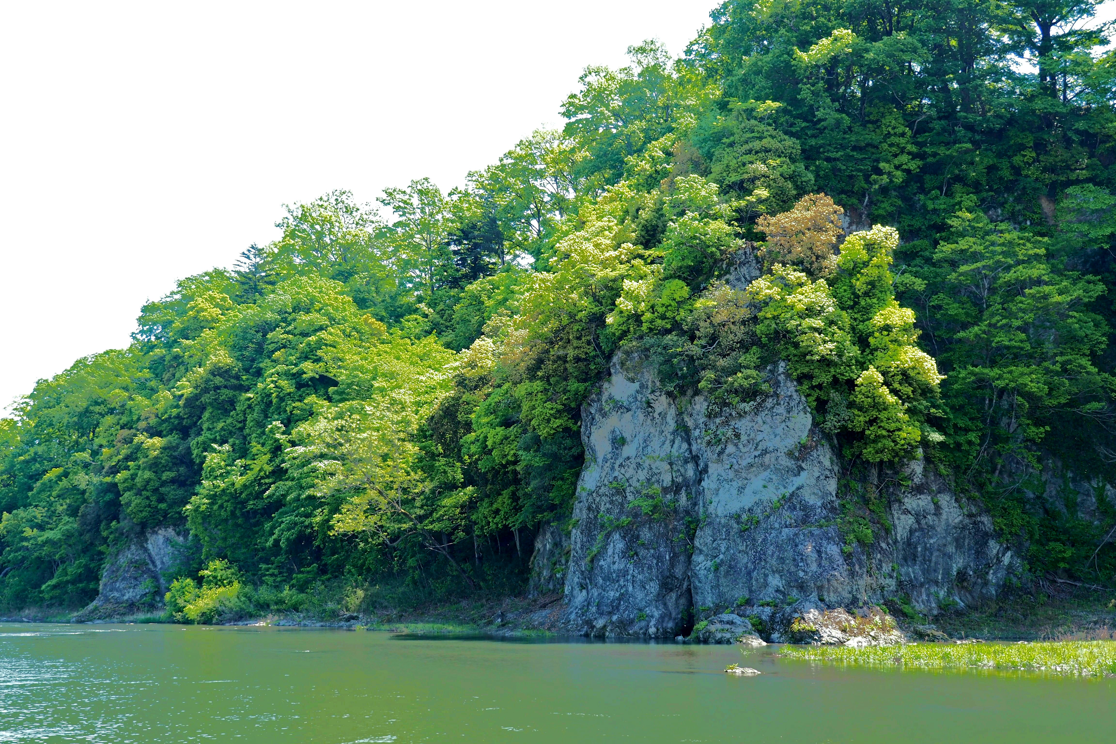 Sungai Arakawa bagian hulu di Yorii, Saitama, mengalir di samping tebing batu hijau