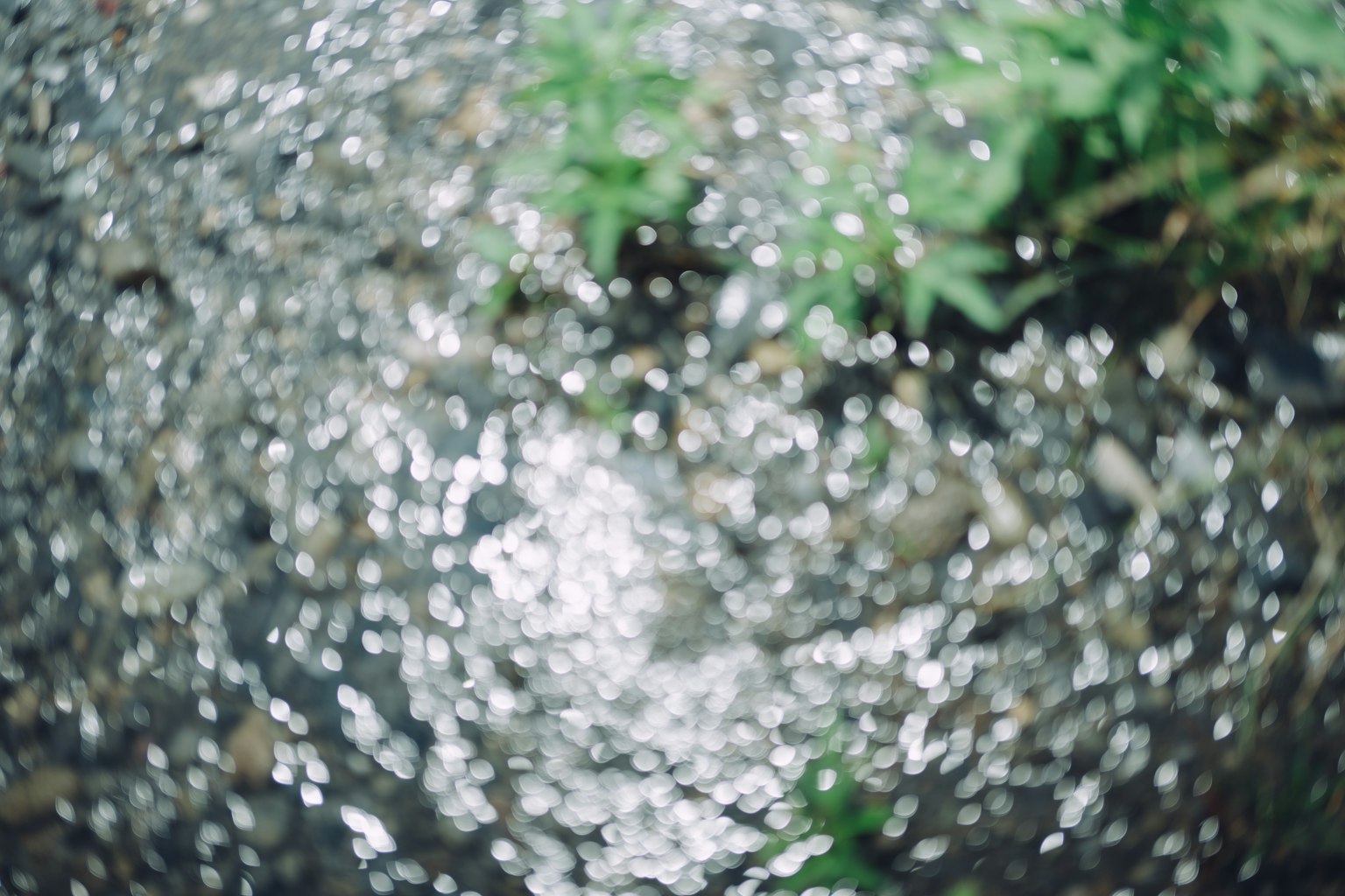 Blurred water surface reflecting light with surrounding green plants