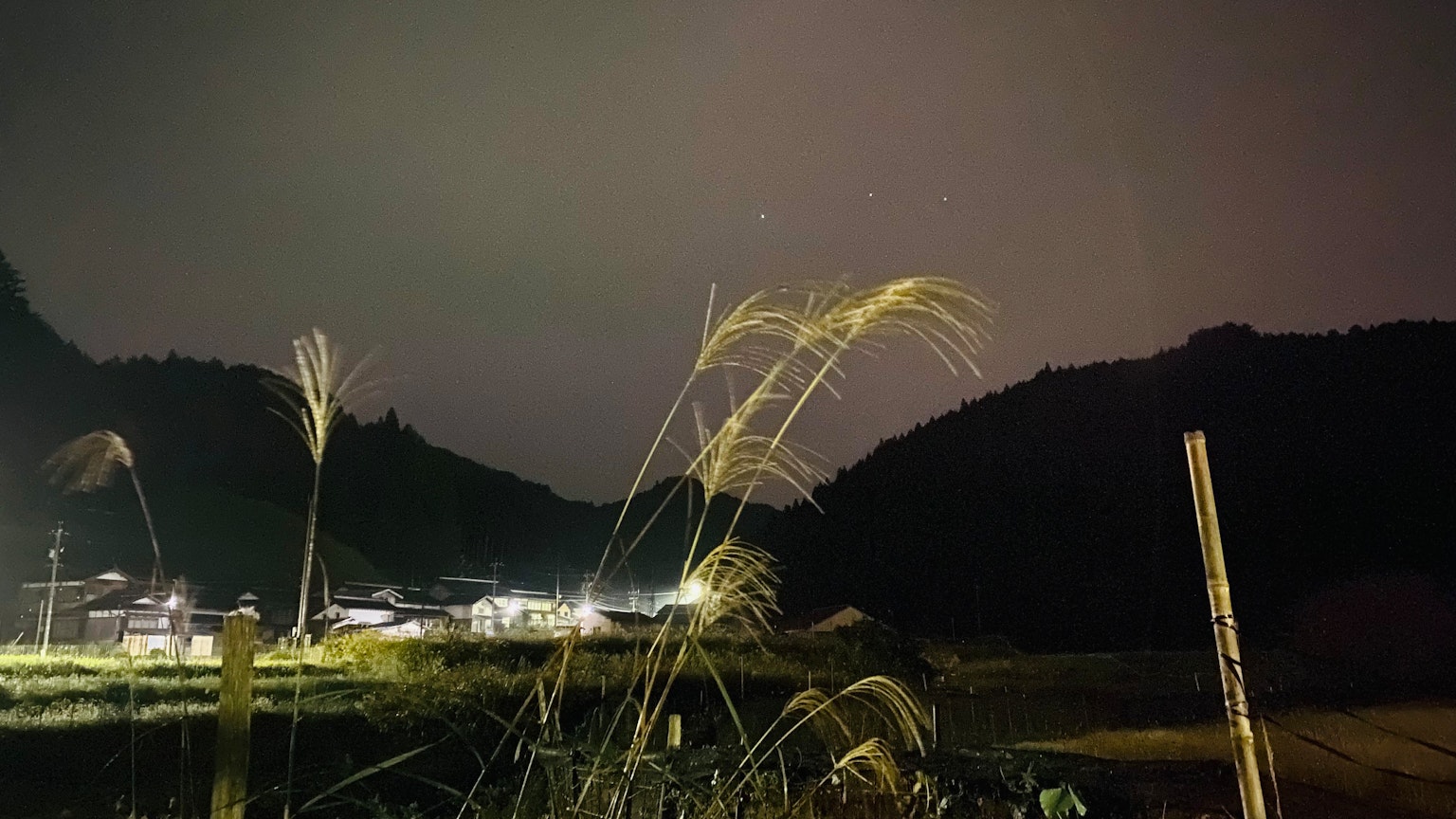 Paysage rural nocturne avec des brins d'herbe
