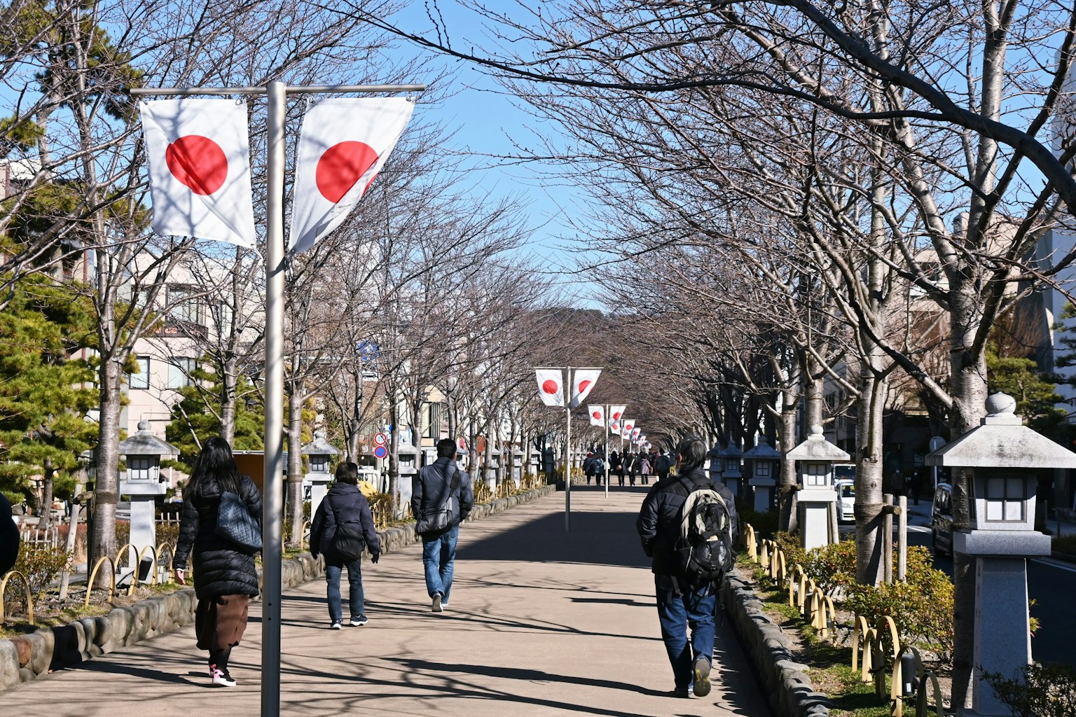 Un chemin pittoresque au Japon avec des gens marchant et des cerisiers