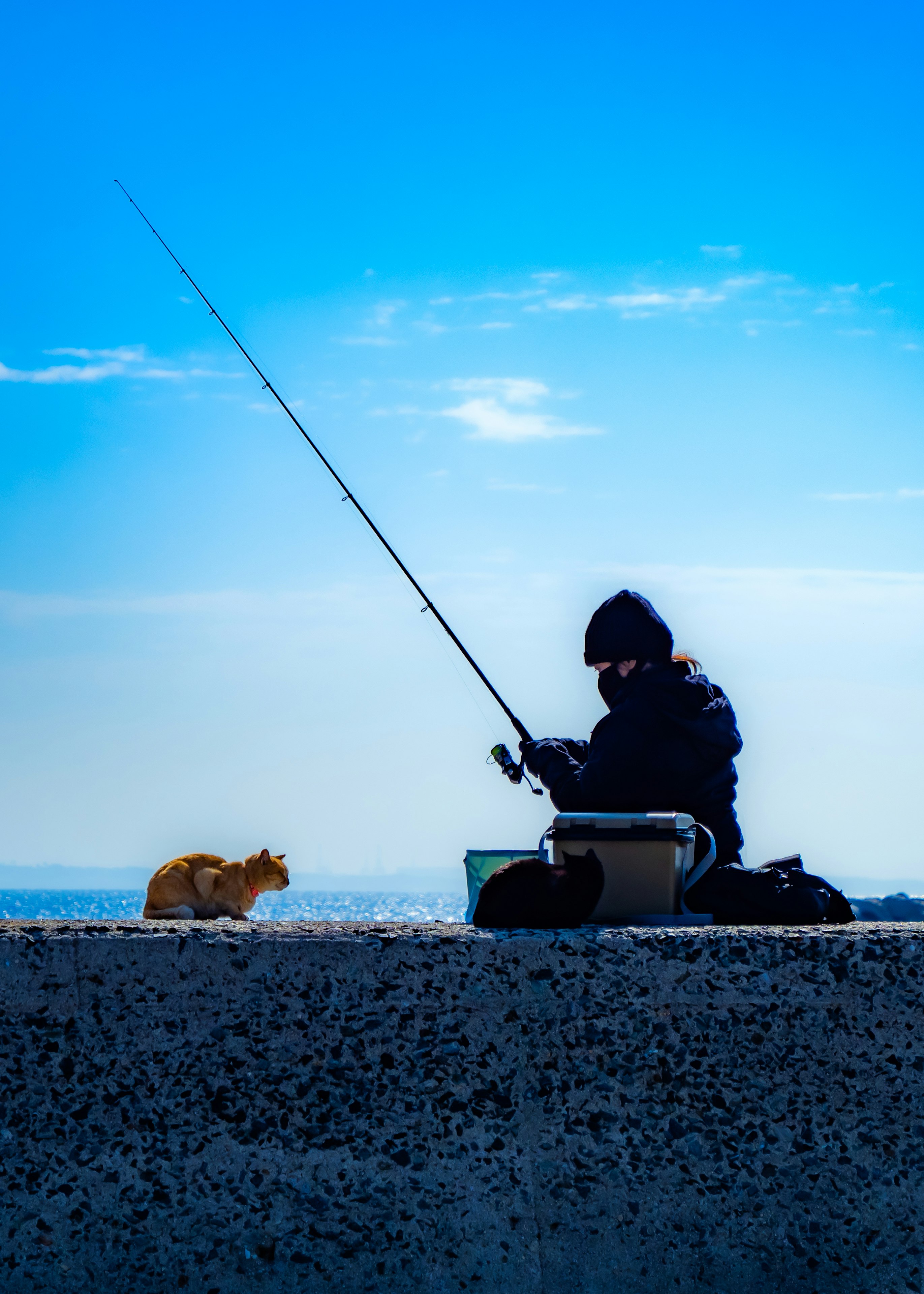 防波堤で釣りをする人と釣り竿、海辺の景色