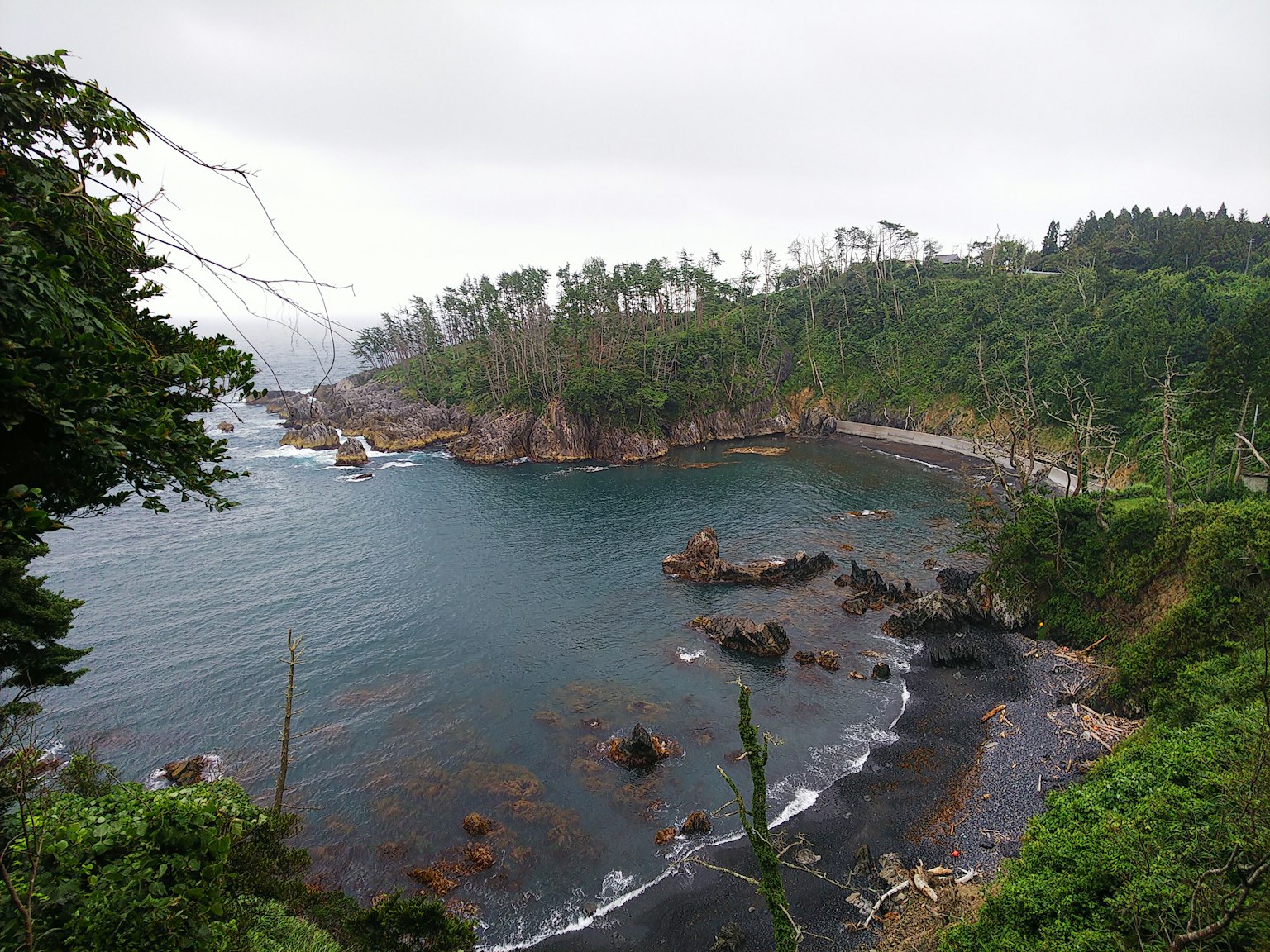 海岸風景，岩石海岸和波浪