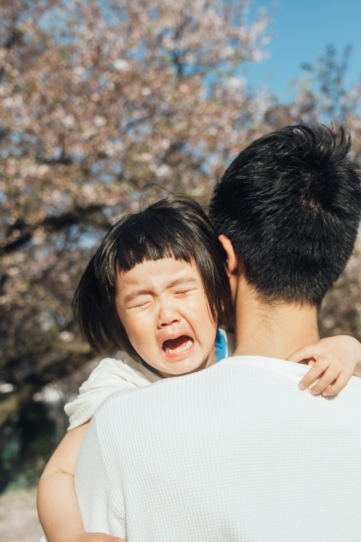 photo-jeh880yOPD6qdr6V0HvY-image