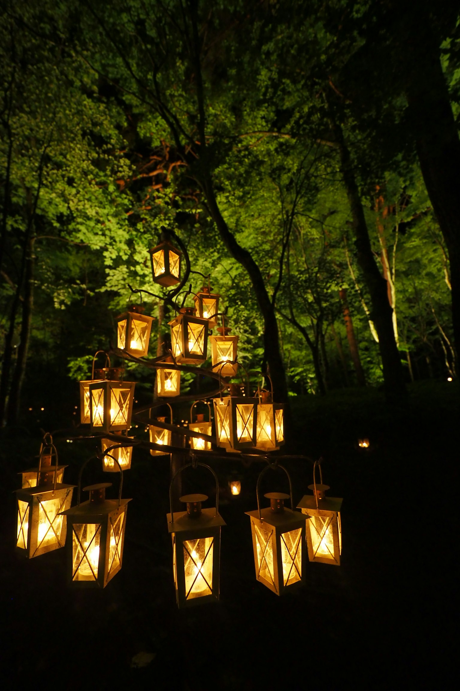Beautiful lantern art installation hanging in a green forest