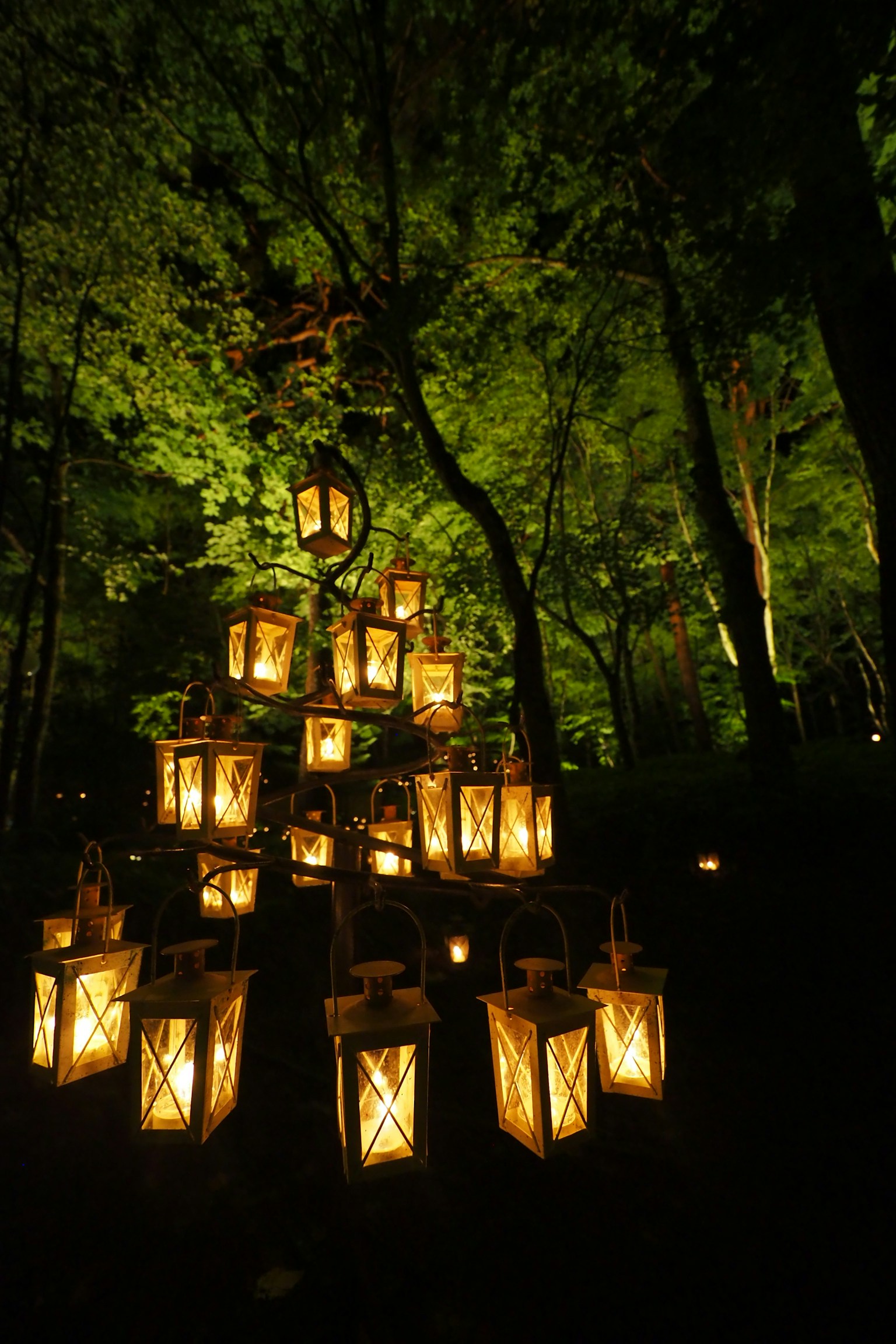 Installazione artistica di lanterne sospese in una foresta verde