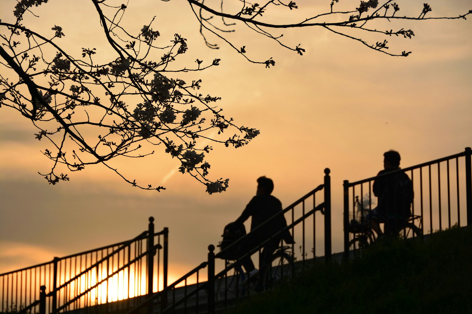 Menschen, die Rad fahren und spazieren gehen vor dem Hintergrund eines Sonnenuntergangs