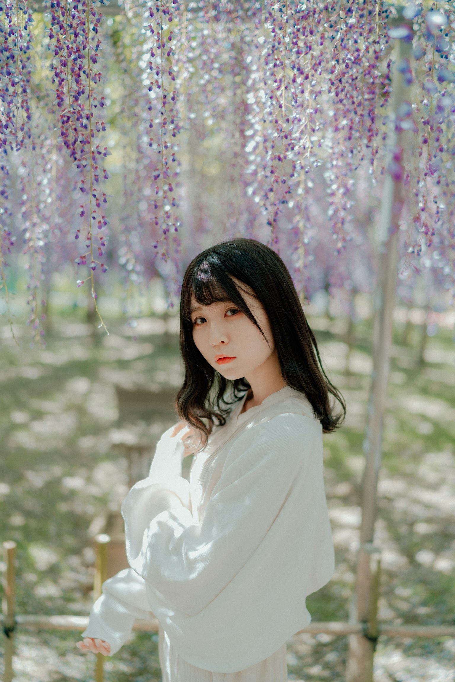 女性站在盛开的藤花下