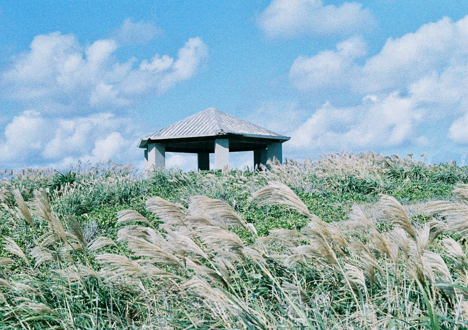 Un petit abri sous un ciel bleu avec de l'herbe ondulante