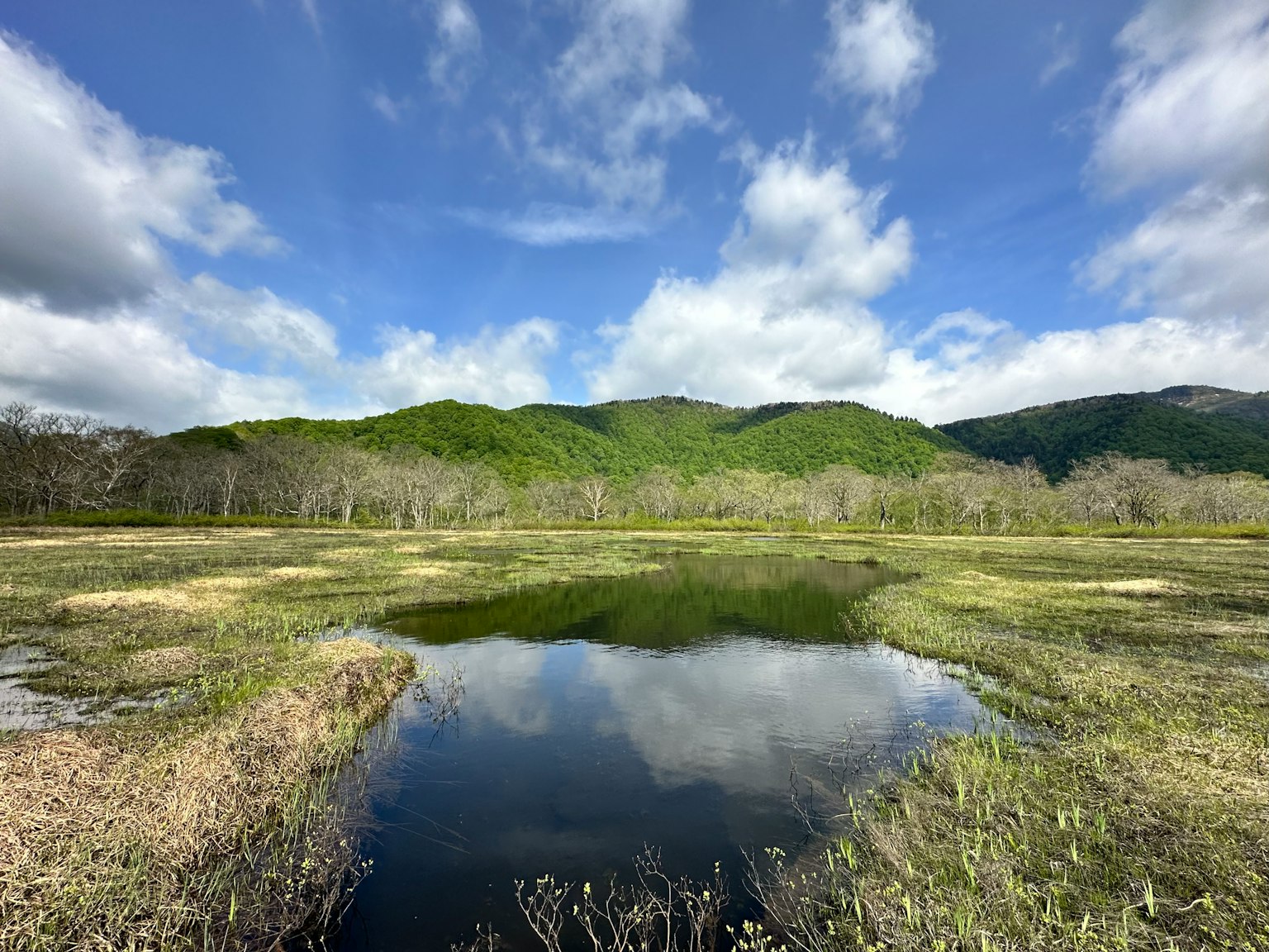 宁静的湿地场景，绿色山丘与蓝天的倒影