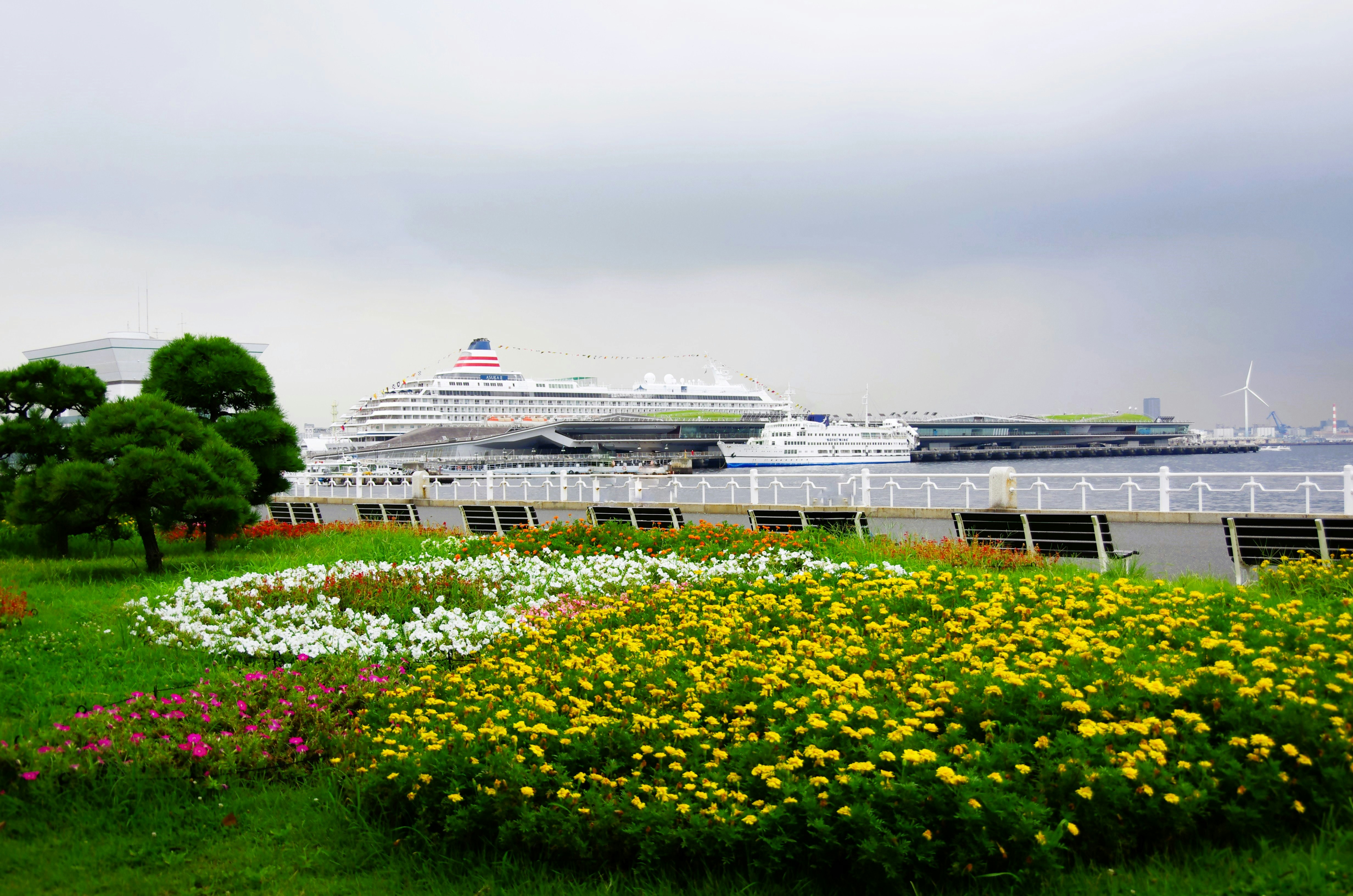 從山下公園眺望大さん橋碼頭與遊輪的花海景