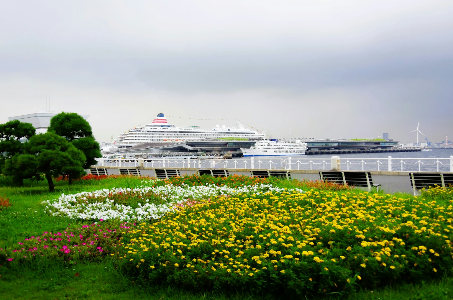 A lush green park with blooming flowers and a large cruise ship in the background