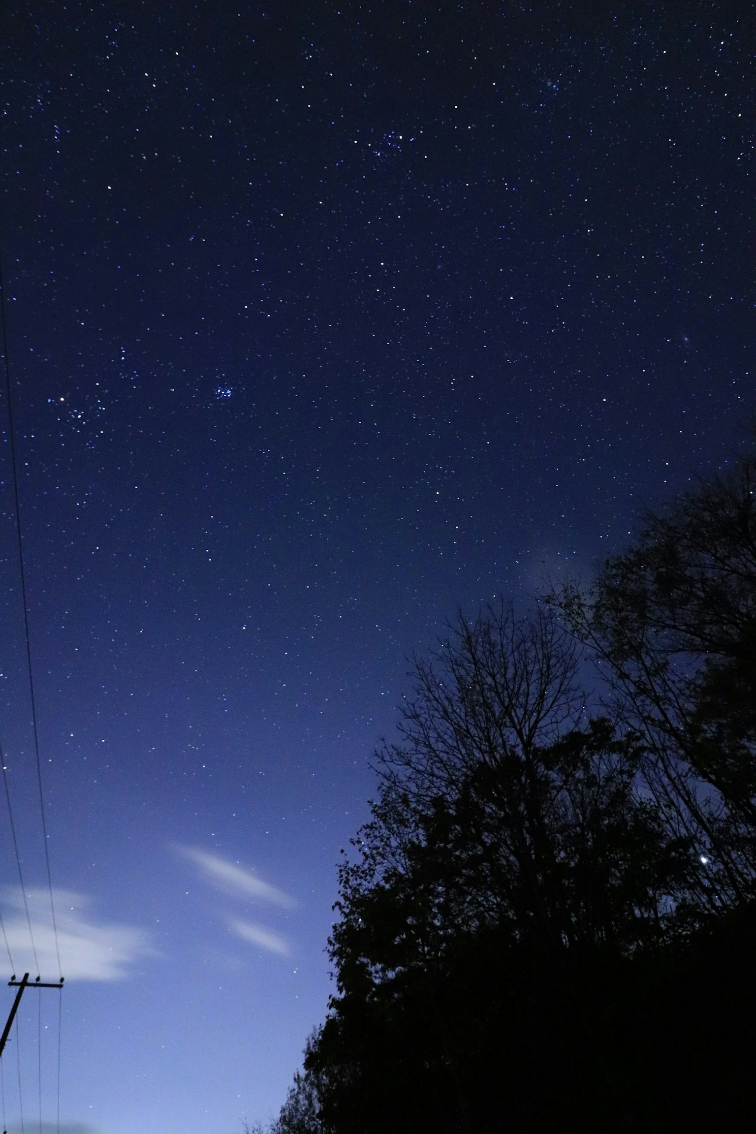 星光熠熠的夜空，树木和电杆的轮廓