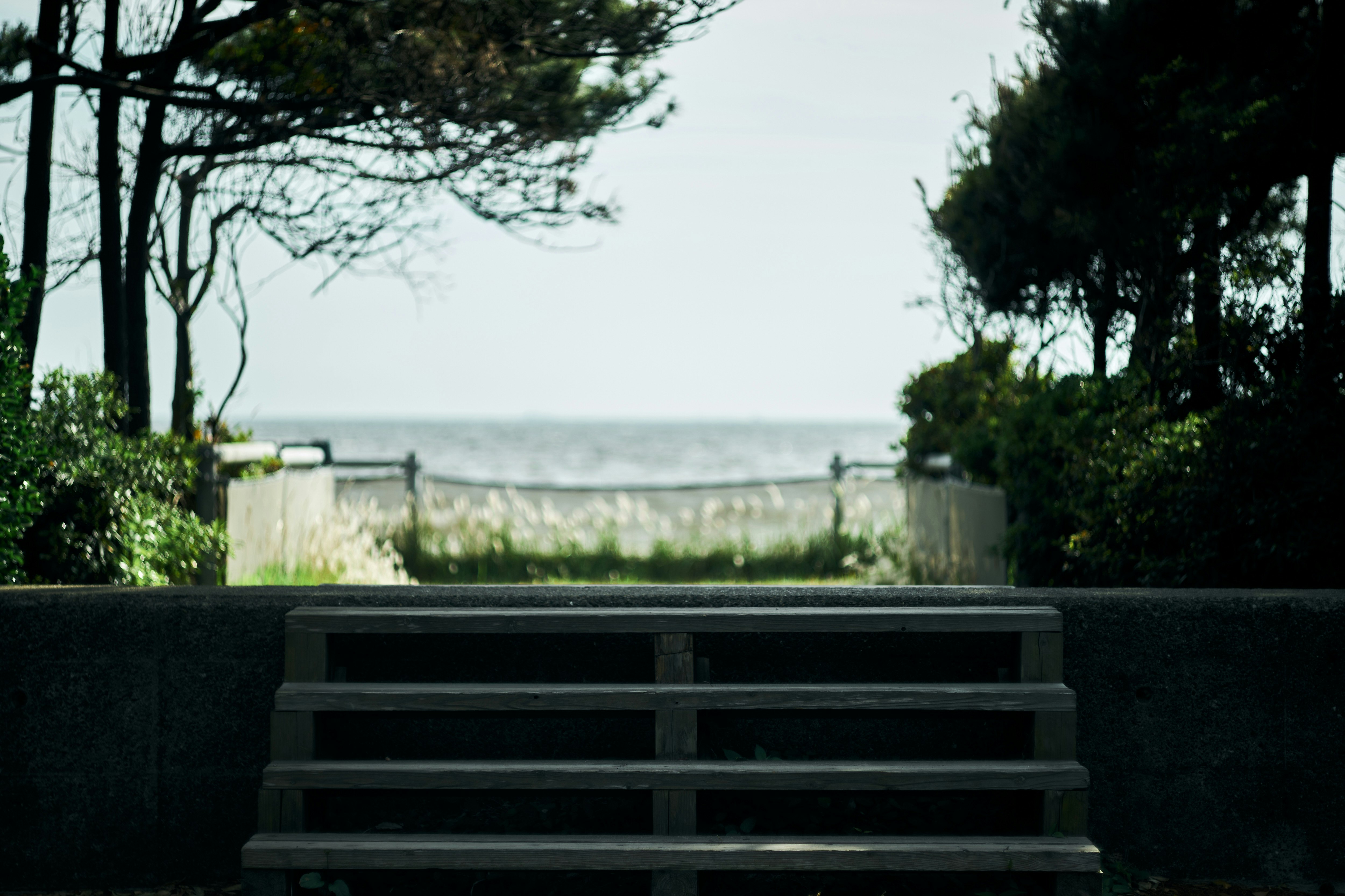 photo-jjZCtglf0KyPCO3fnfHr