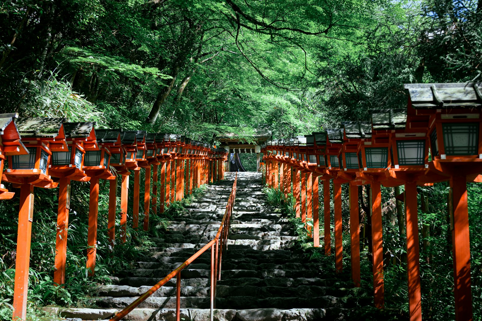 photo-jjjQDMykHKNVrM2NMsO5-image