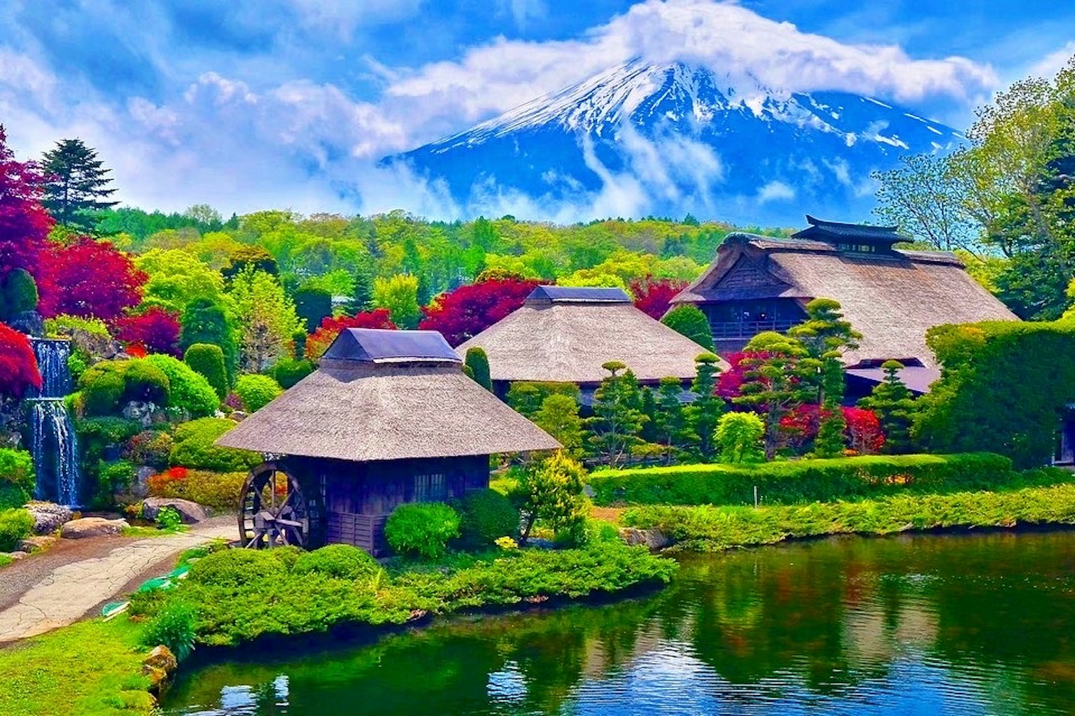 美丽的花园景观与富士山生机勃勃的绿意和多彩的树叶