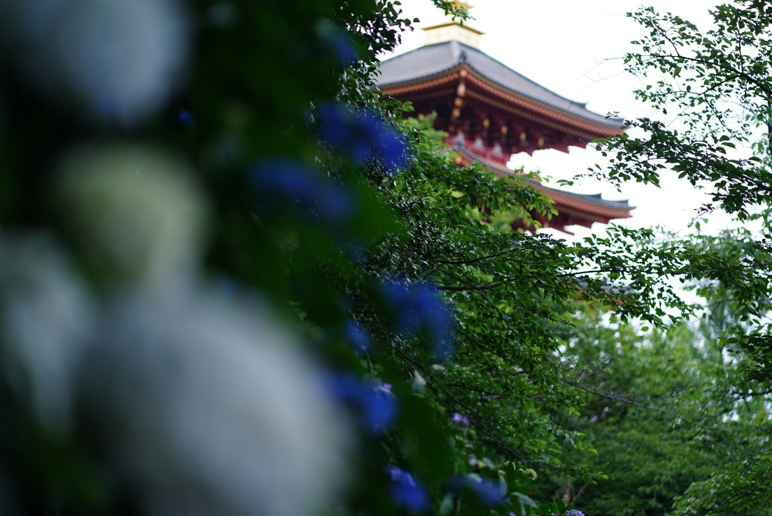 紅色寺廟塔被藍色繡球花和綠色葉子包圍