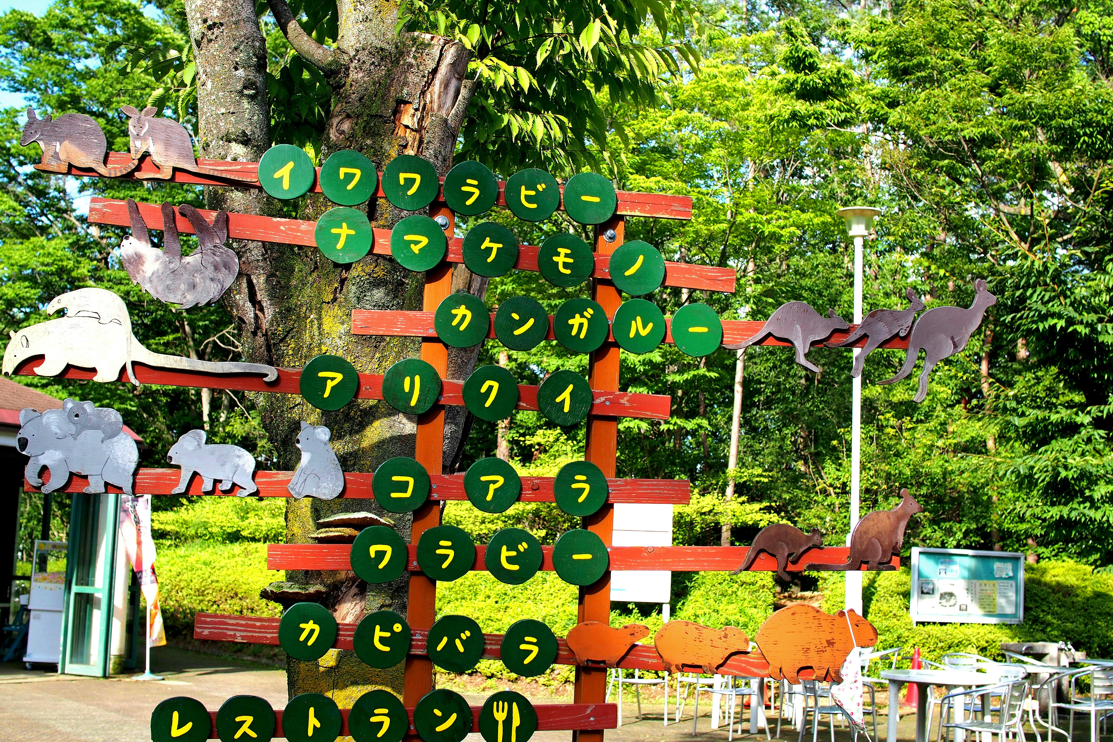 緑の森の中に並ぶ動物モチーフの看板と遊具