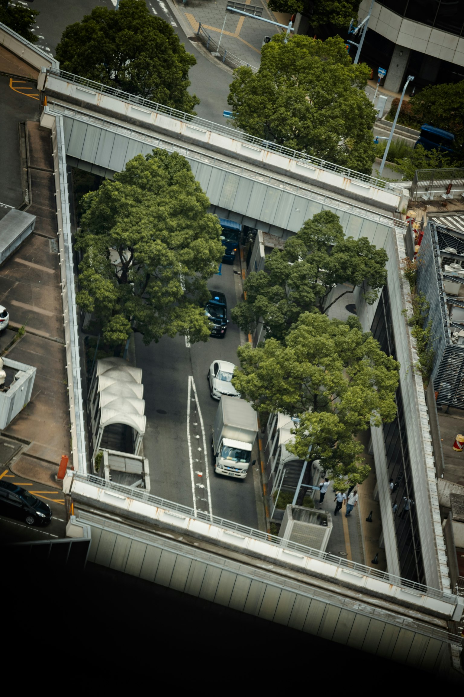 Vista aerea di un incrocio urbano con alberi verdi