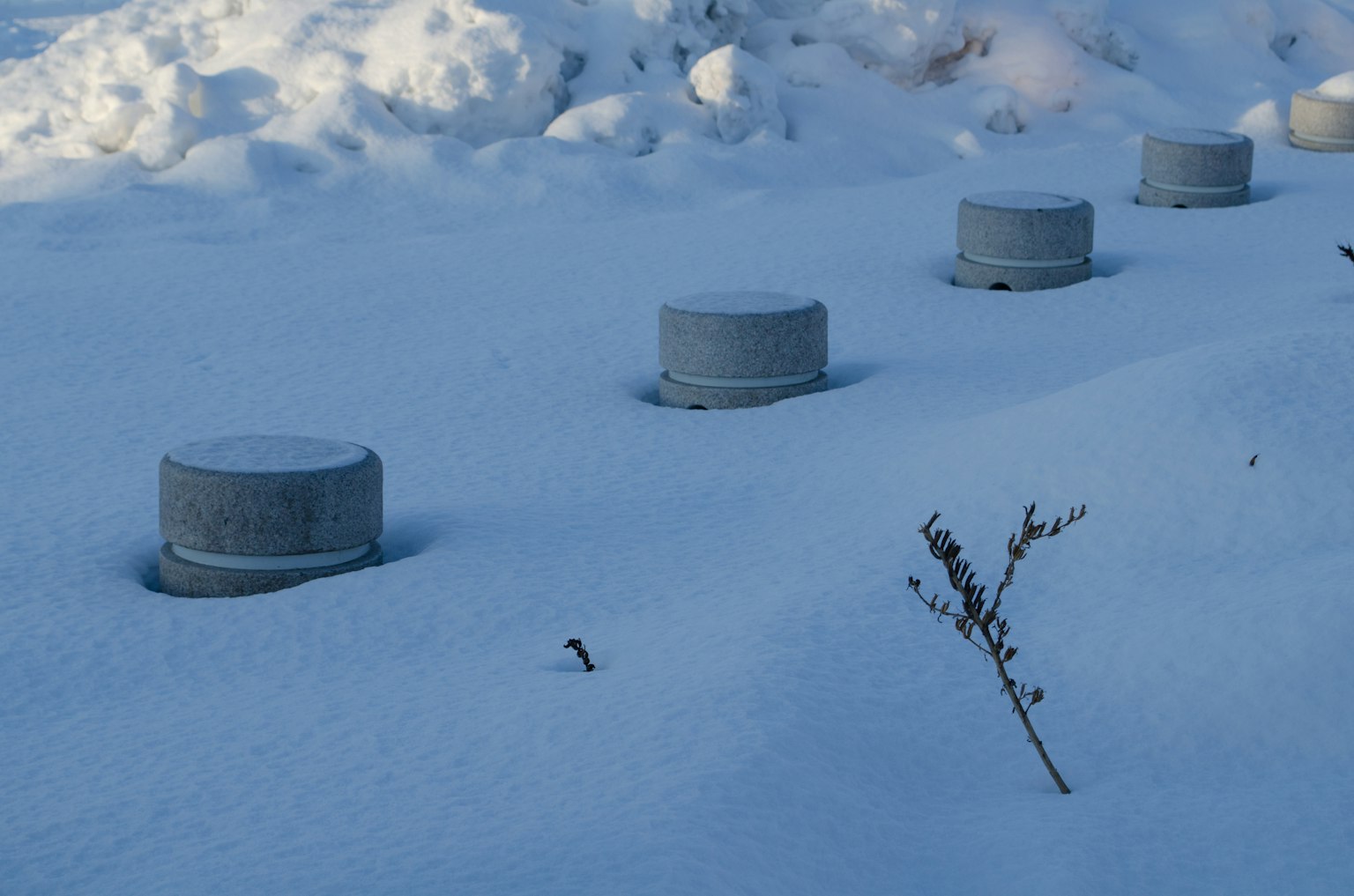 Teilweise im Schnee begrabene betone Zirkularstrukturen mit einer getrockneten Pflanze