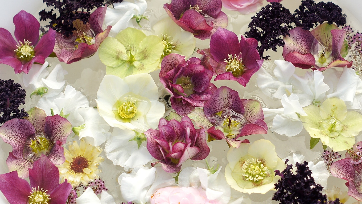 Un bel arrangement de fleurs colorées flottantes