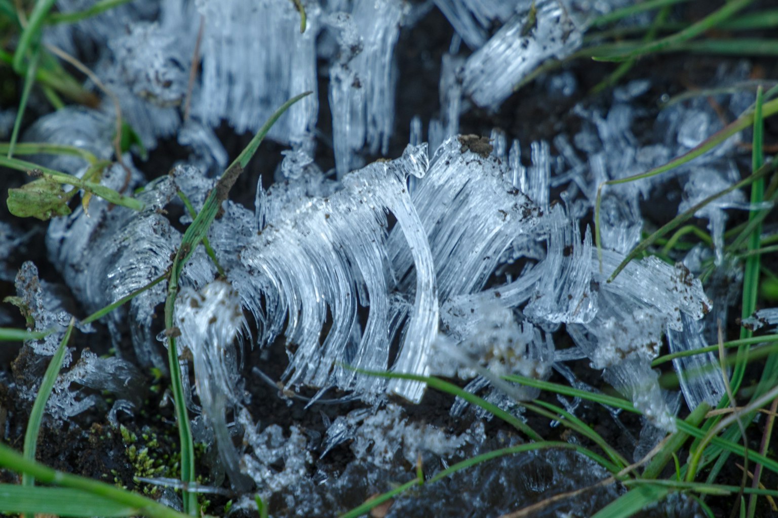 Gros plan sur des cristaux de glace formés sur le sol avec de l'herbe verte