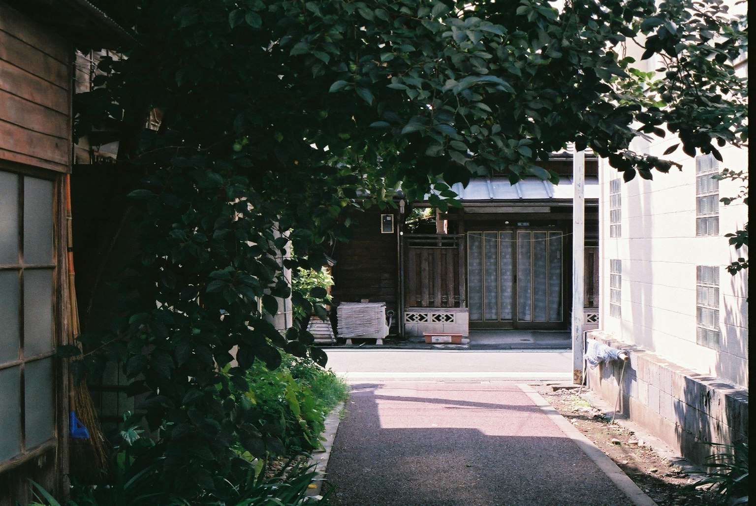 Ein schmaler Weg, umgeben von üppigem Grün, mit alten Gebäuden im Blick