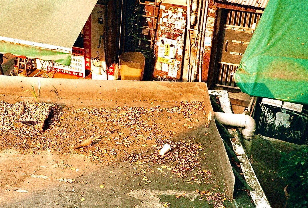 落ち葉の積もった古い石の台と配管のある路地の片隅